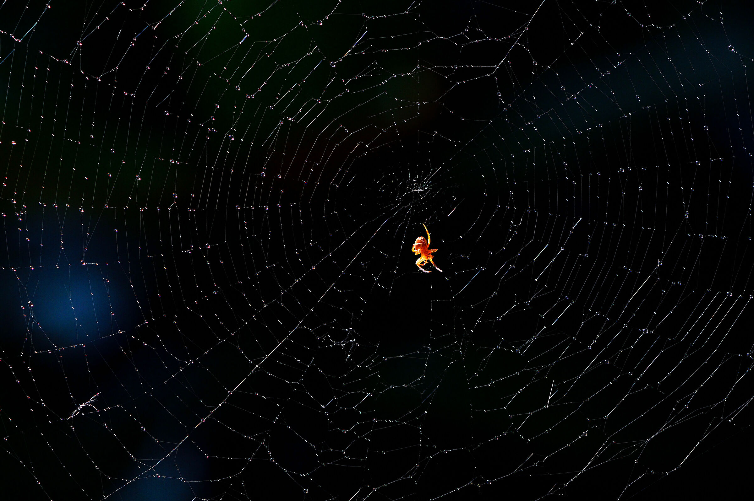 navigating the universe