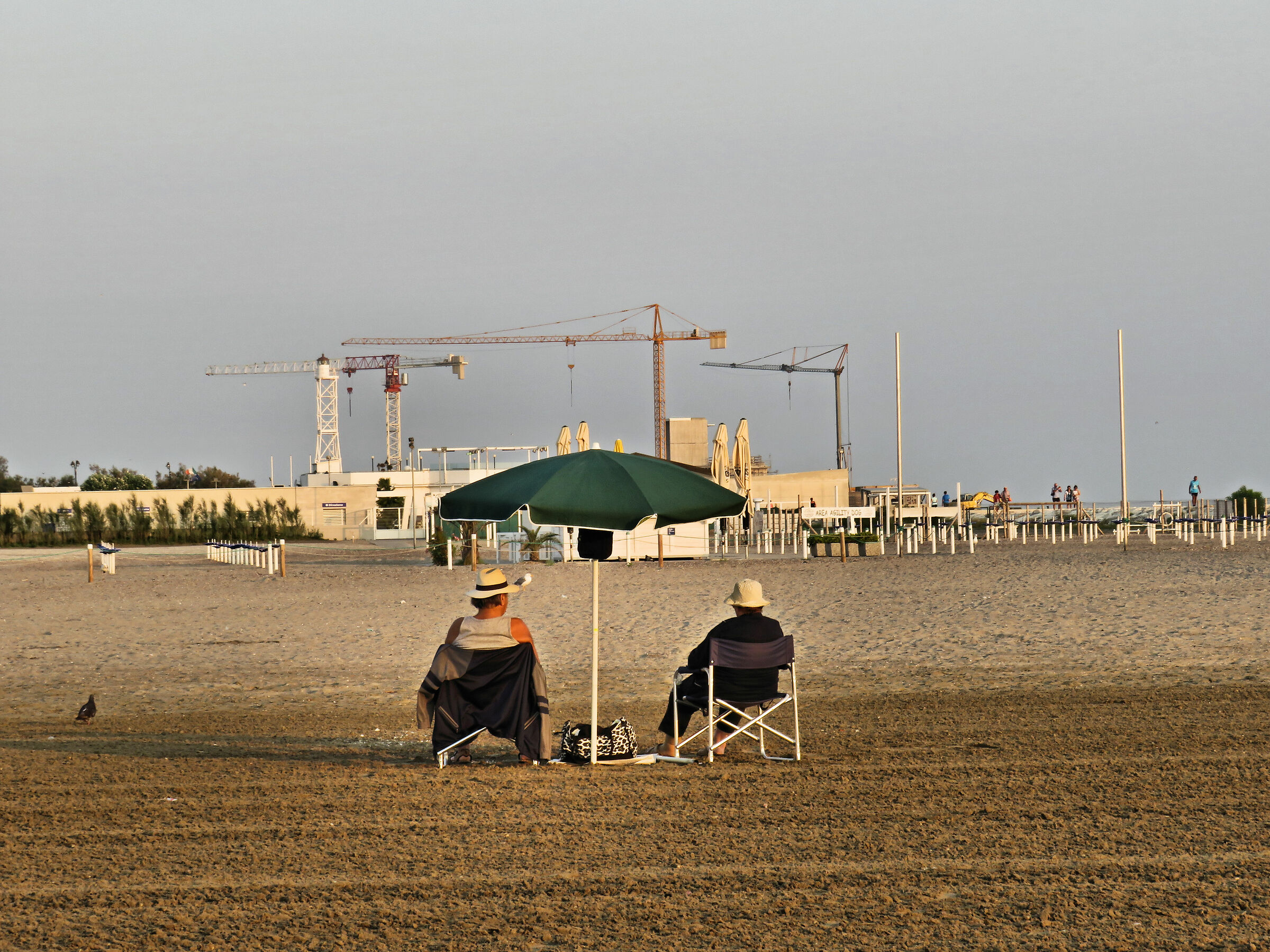 First thing the yard..... then the sea......