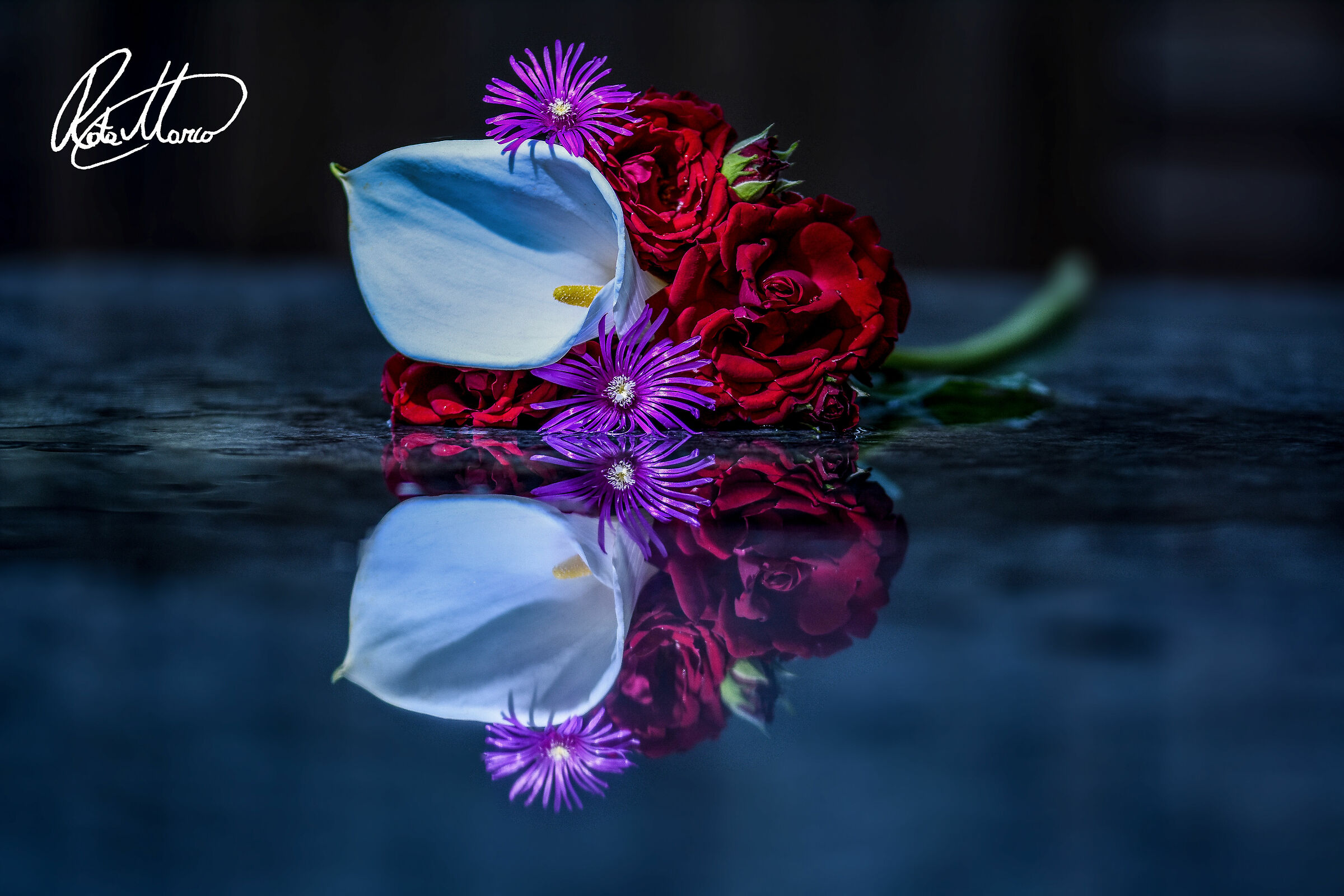 Composition and reflection