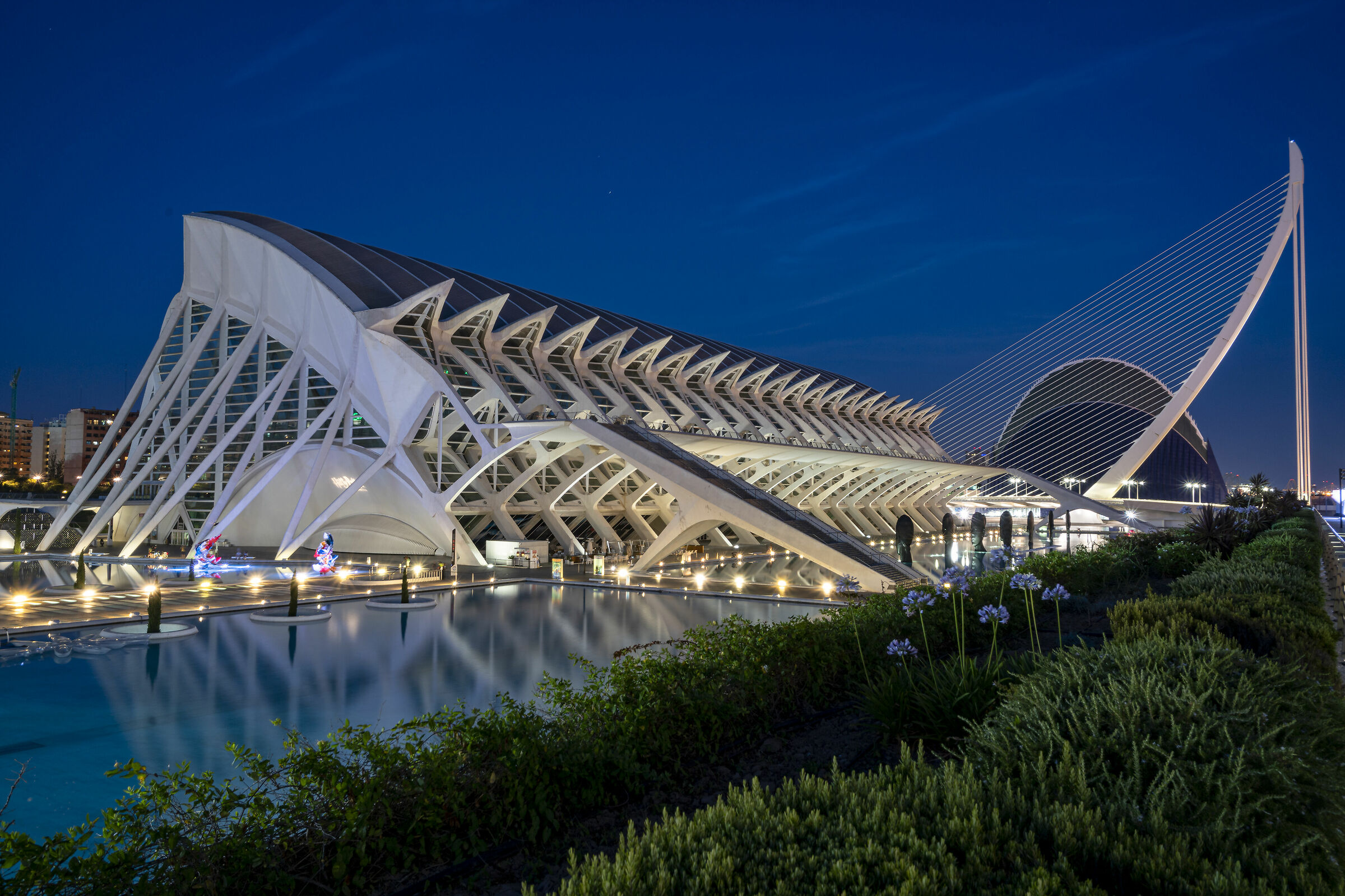 Valencia Arts & Science Park