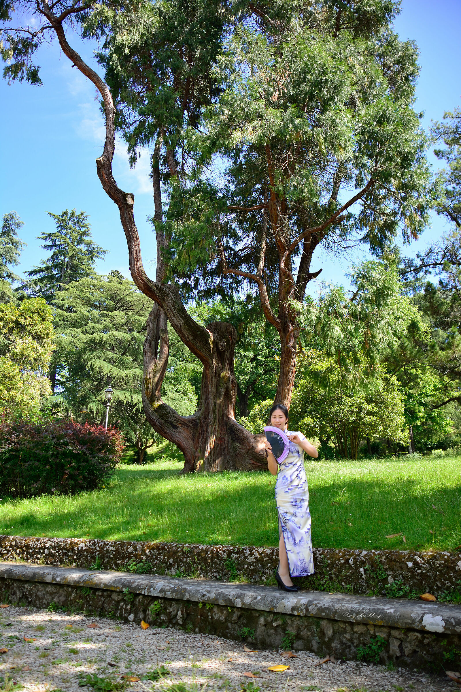 Bellezze tradizionali Orientali