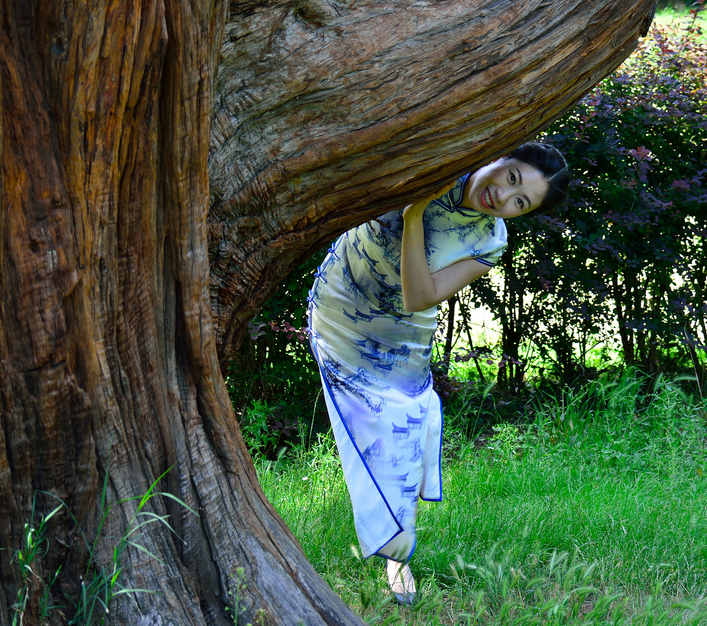 Bellezze tradizionali Orientali