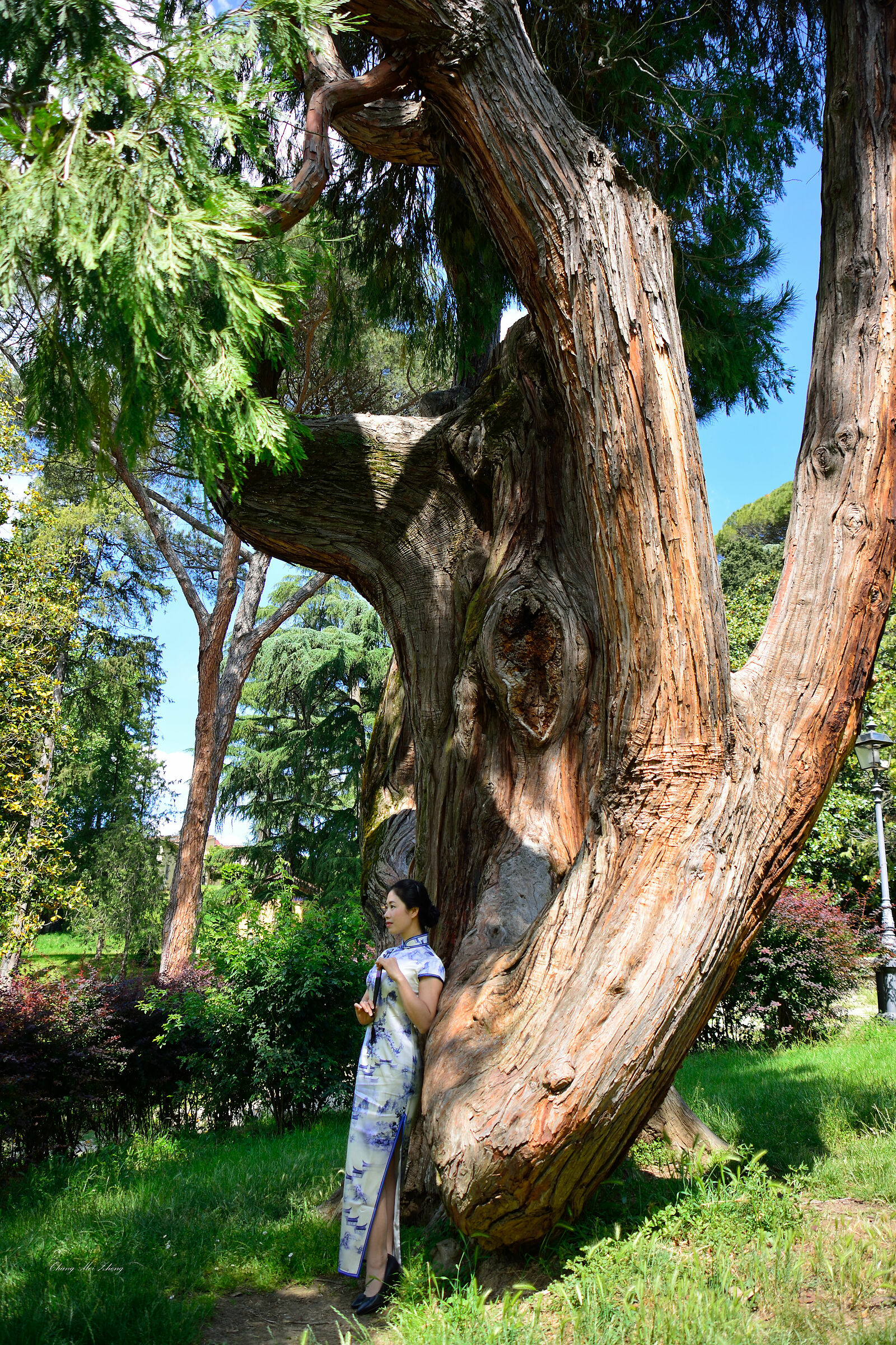 Bellezze tradizionali Orientali