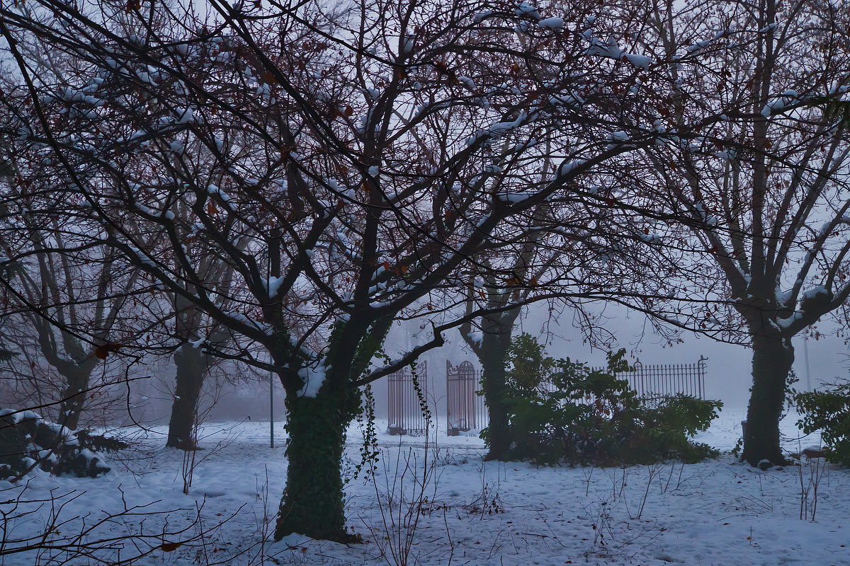 L'ingresso verso il nulla
