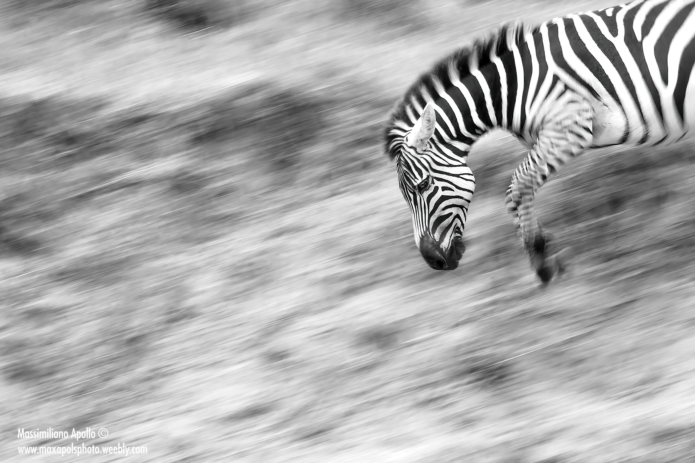 salto nell'ignoto...