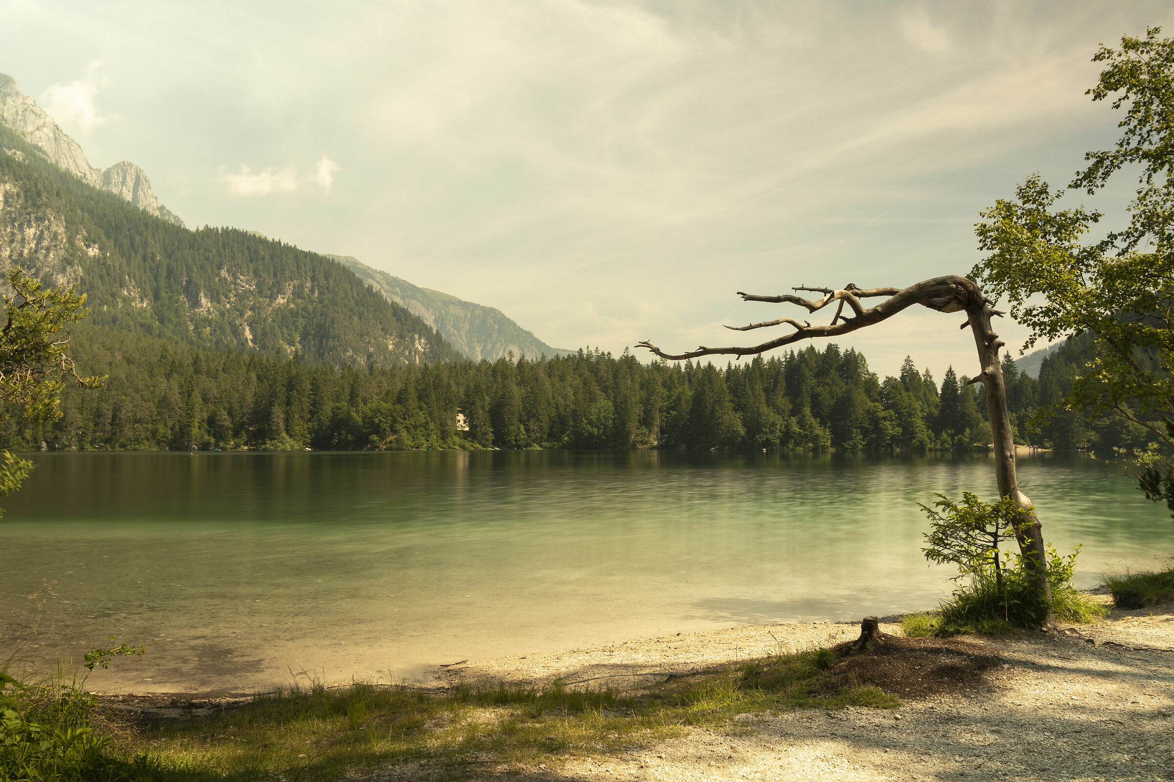 The heat of the lake (tovel)