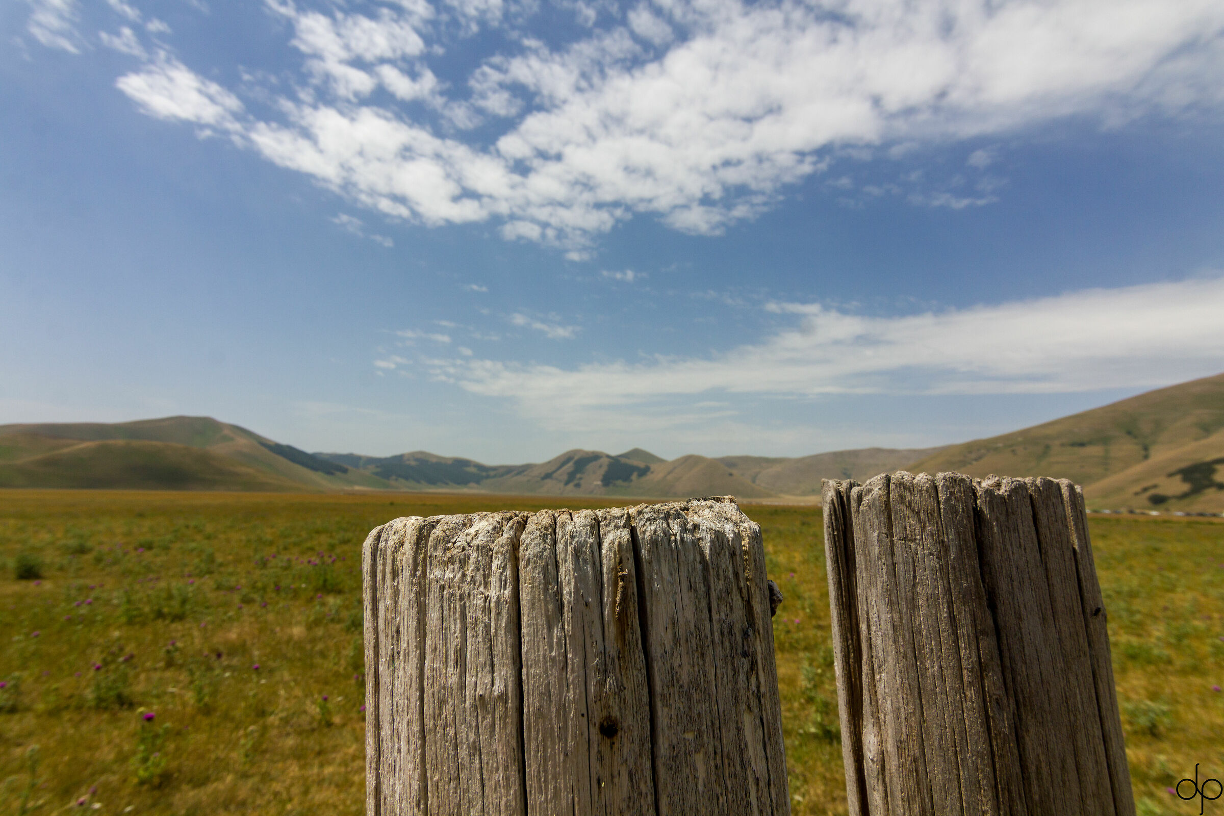 Fioritura di Castelluccio