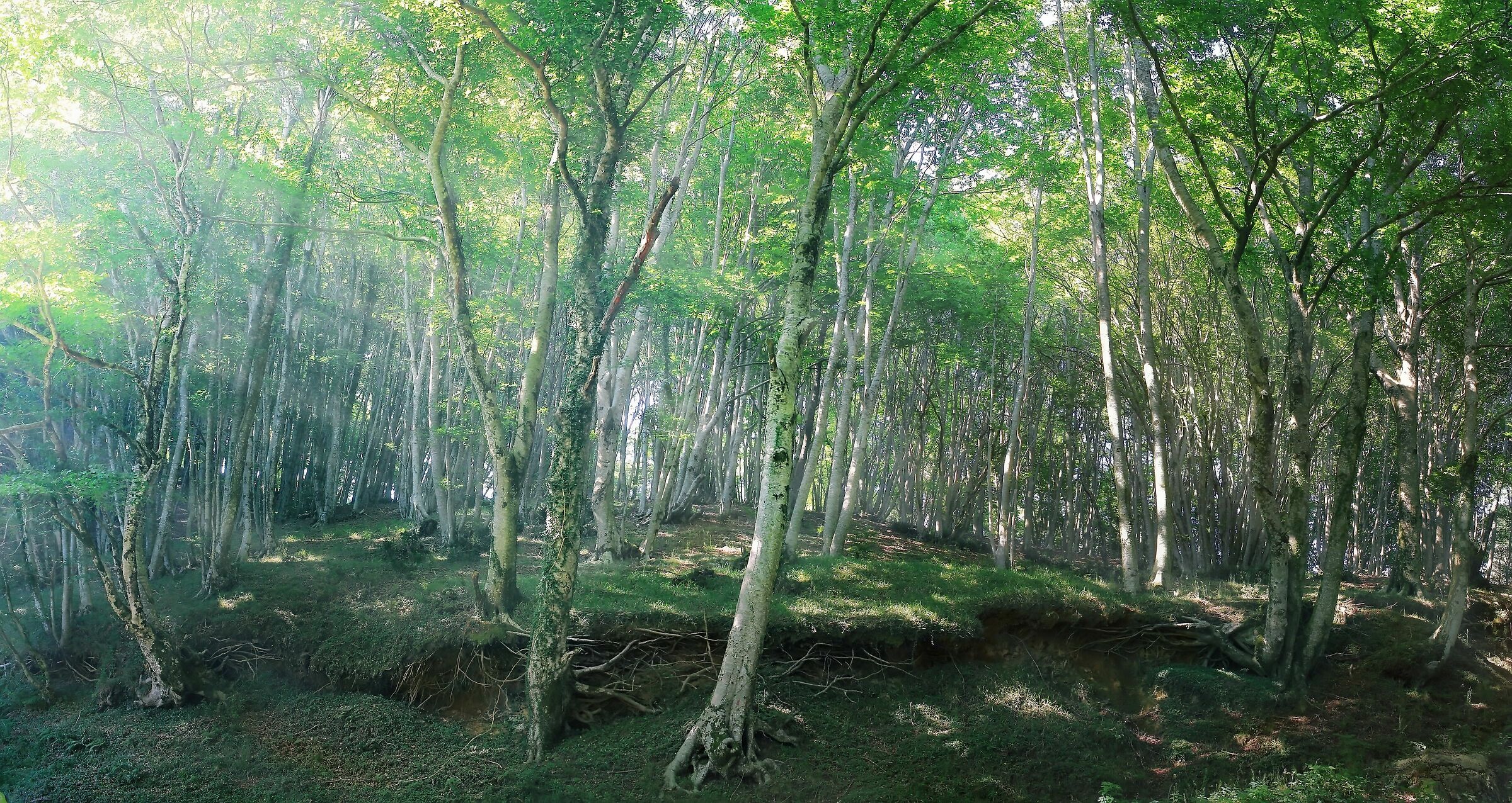 Crossroads Location (CS)