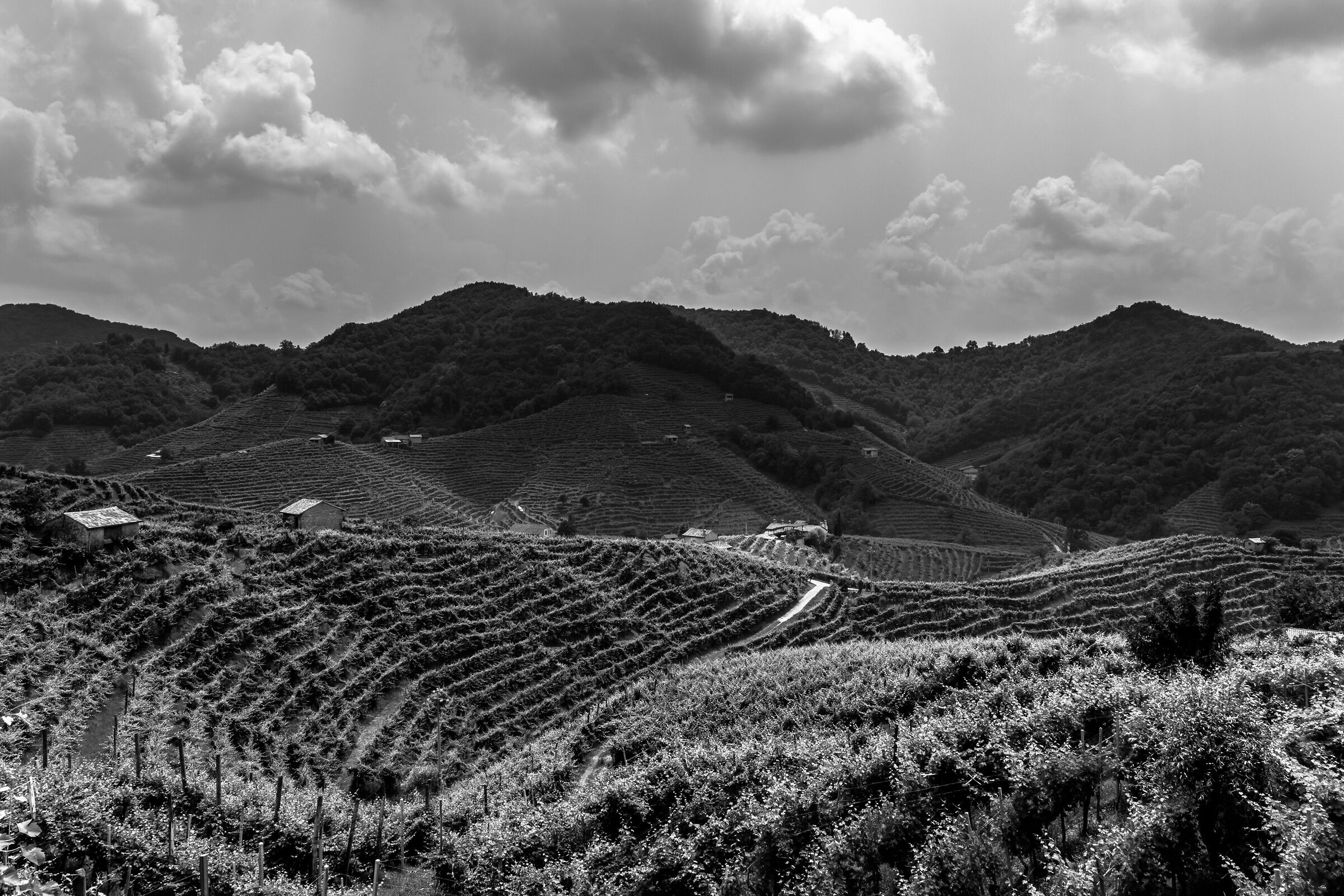 The Hills of Prosecco