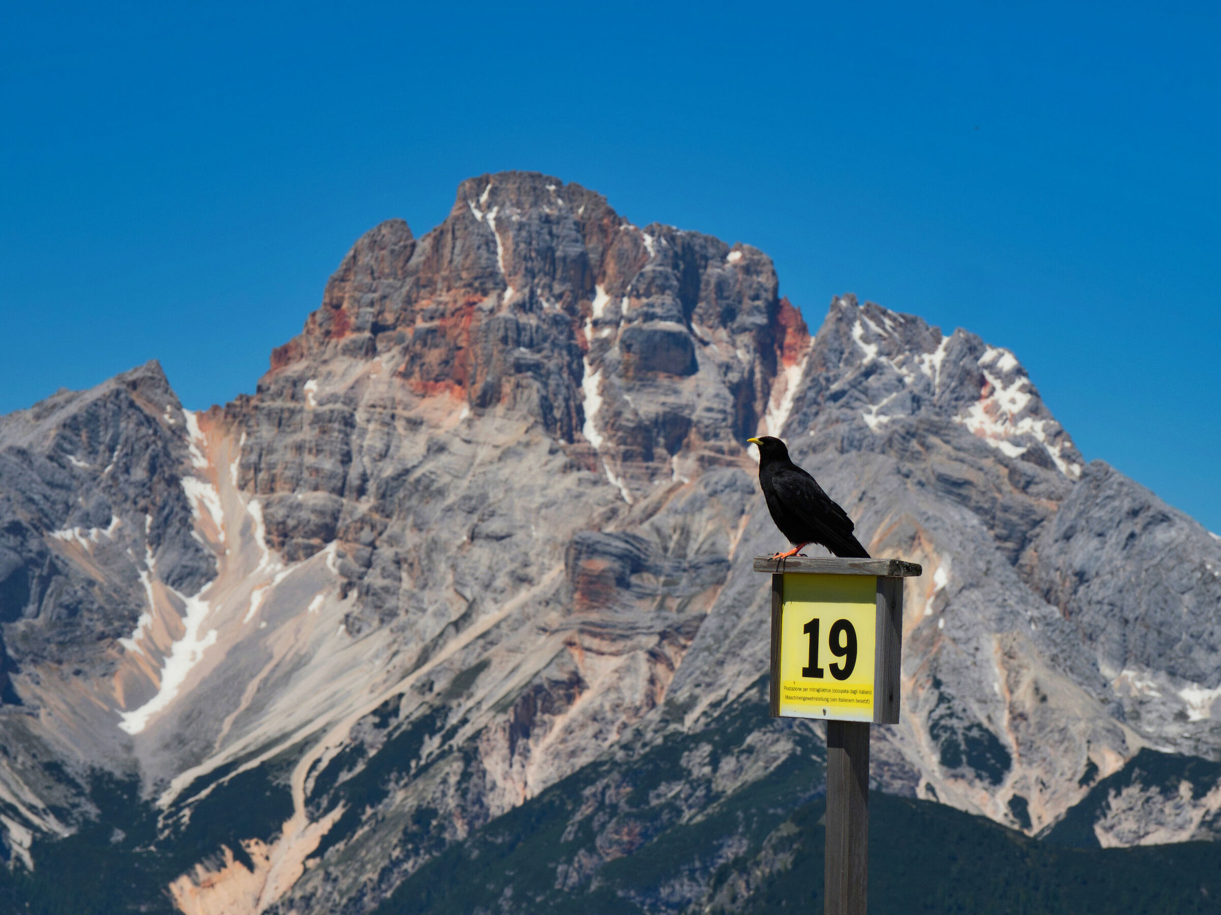 Wait to shoot that I pose