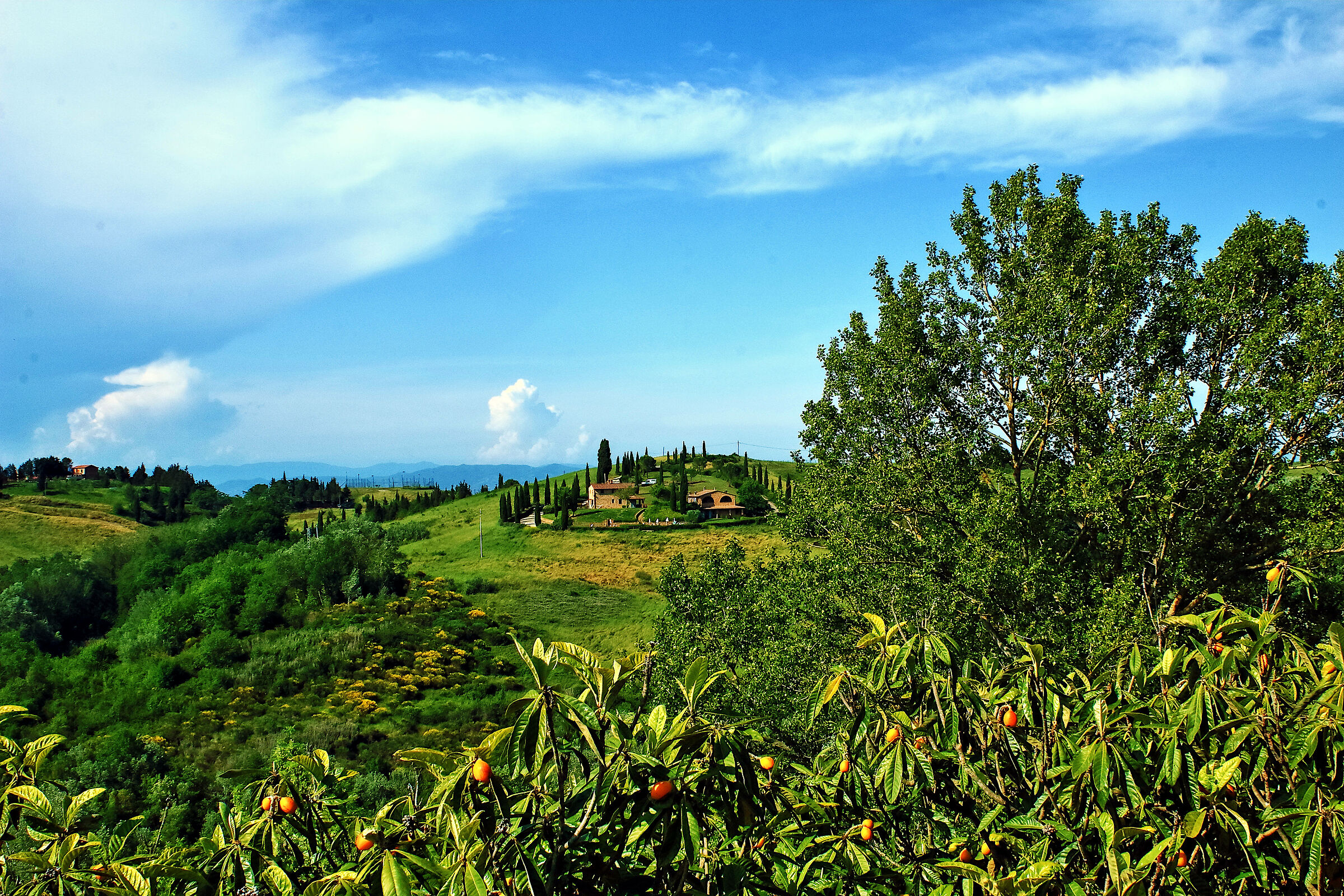 In the surroundings of Siena