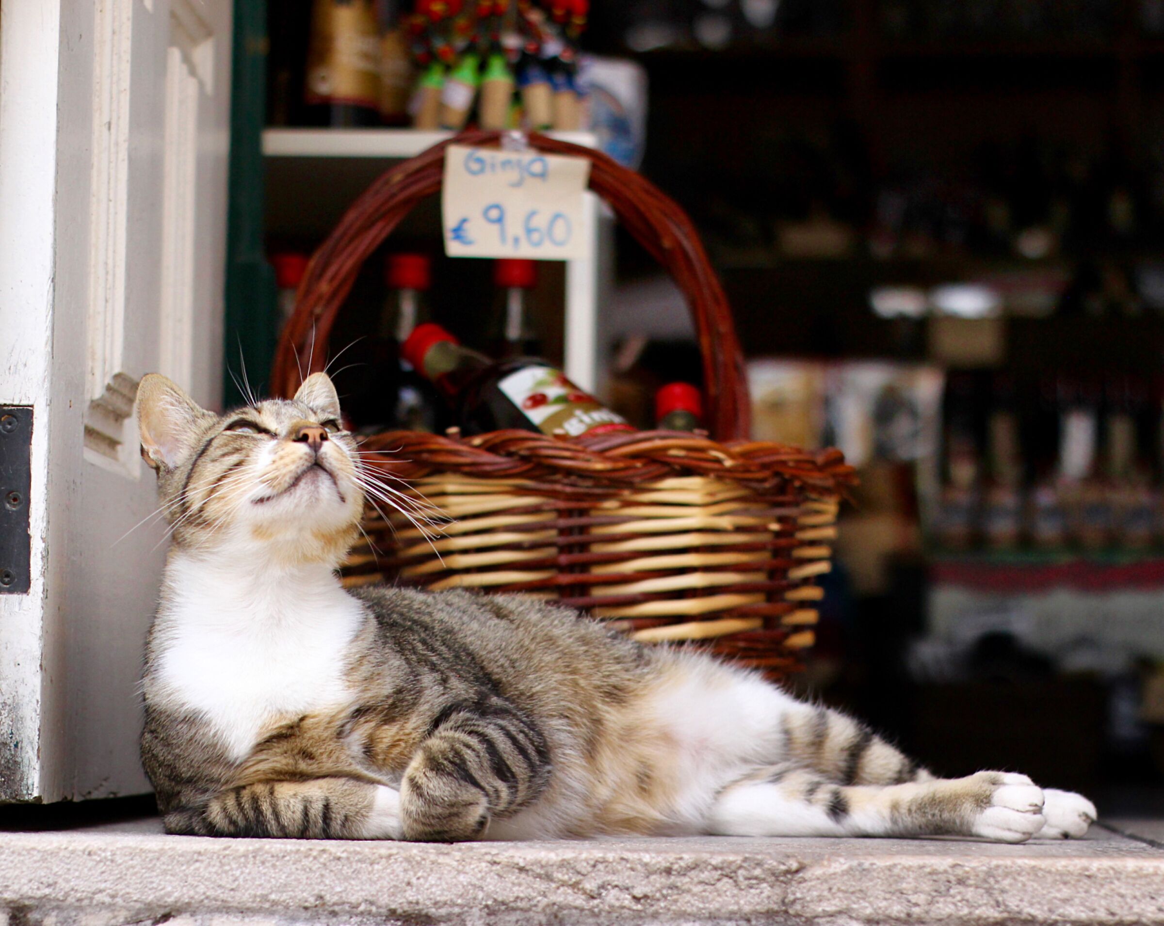A melhor jinja do mundo_Obidos