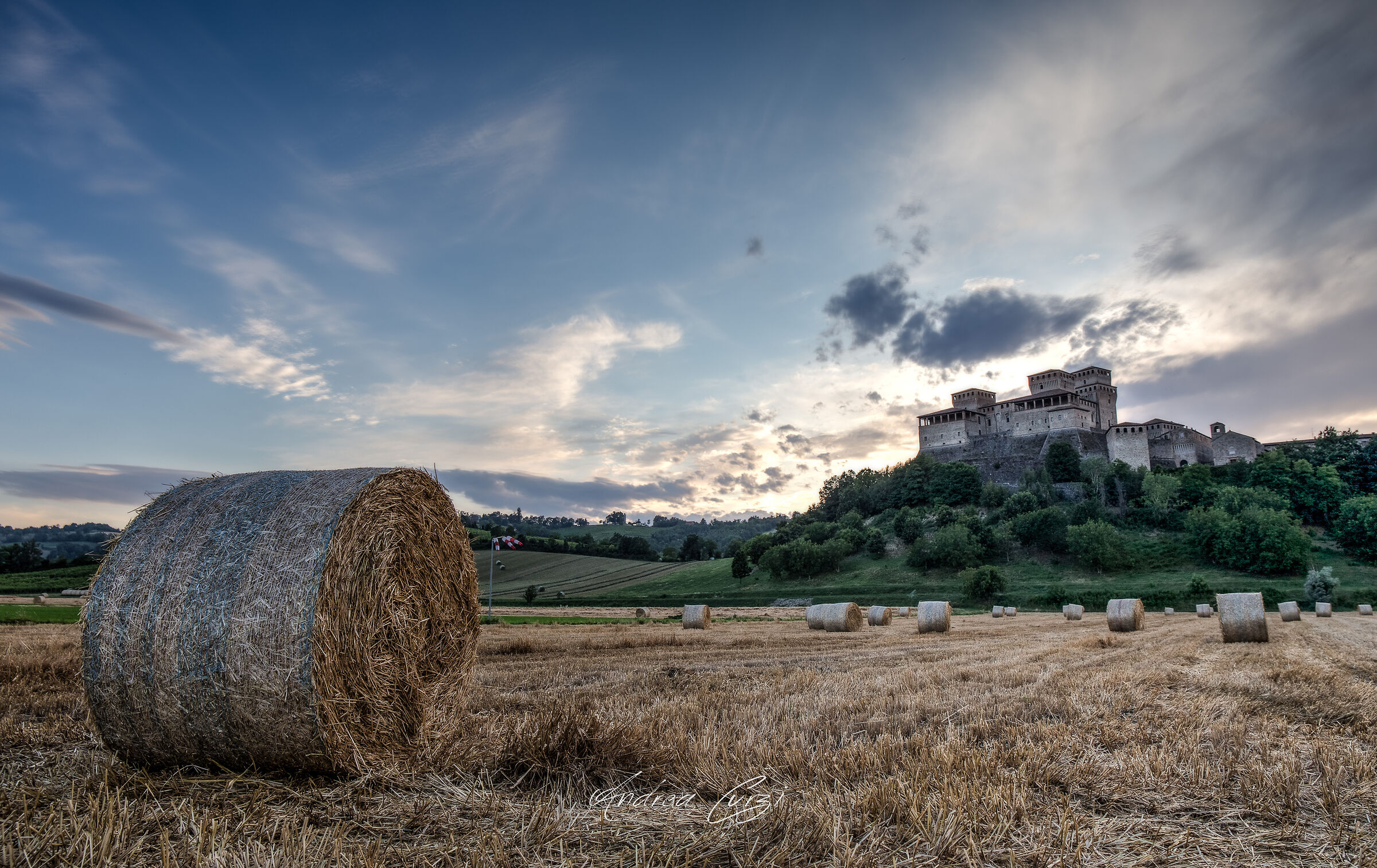 Torrechiara after harvest