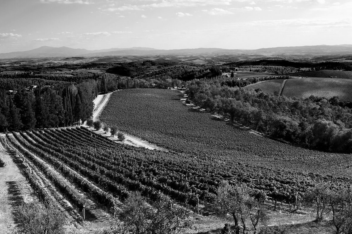 The view from Brolio