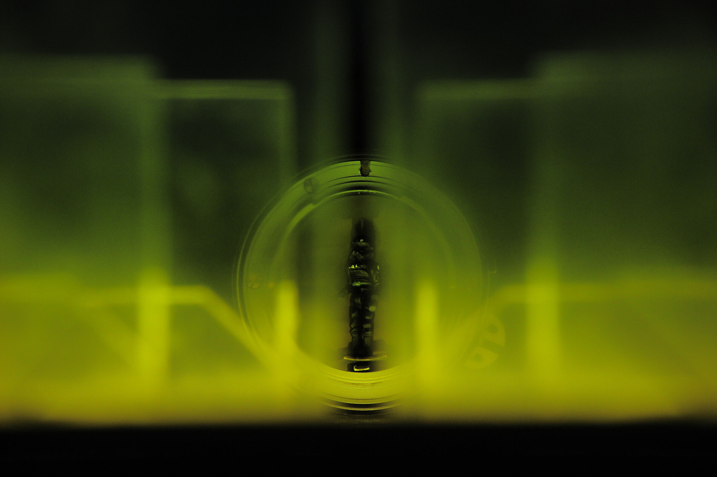 STExplorers: Imbarco sulla navetta