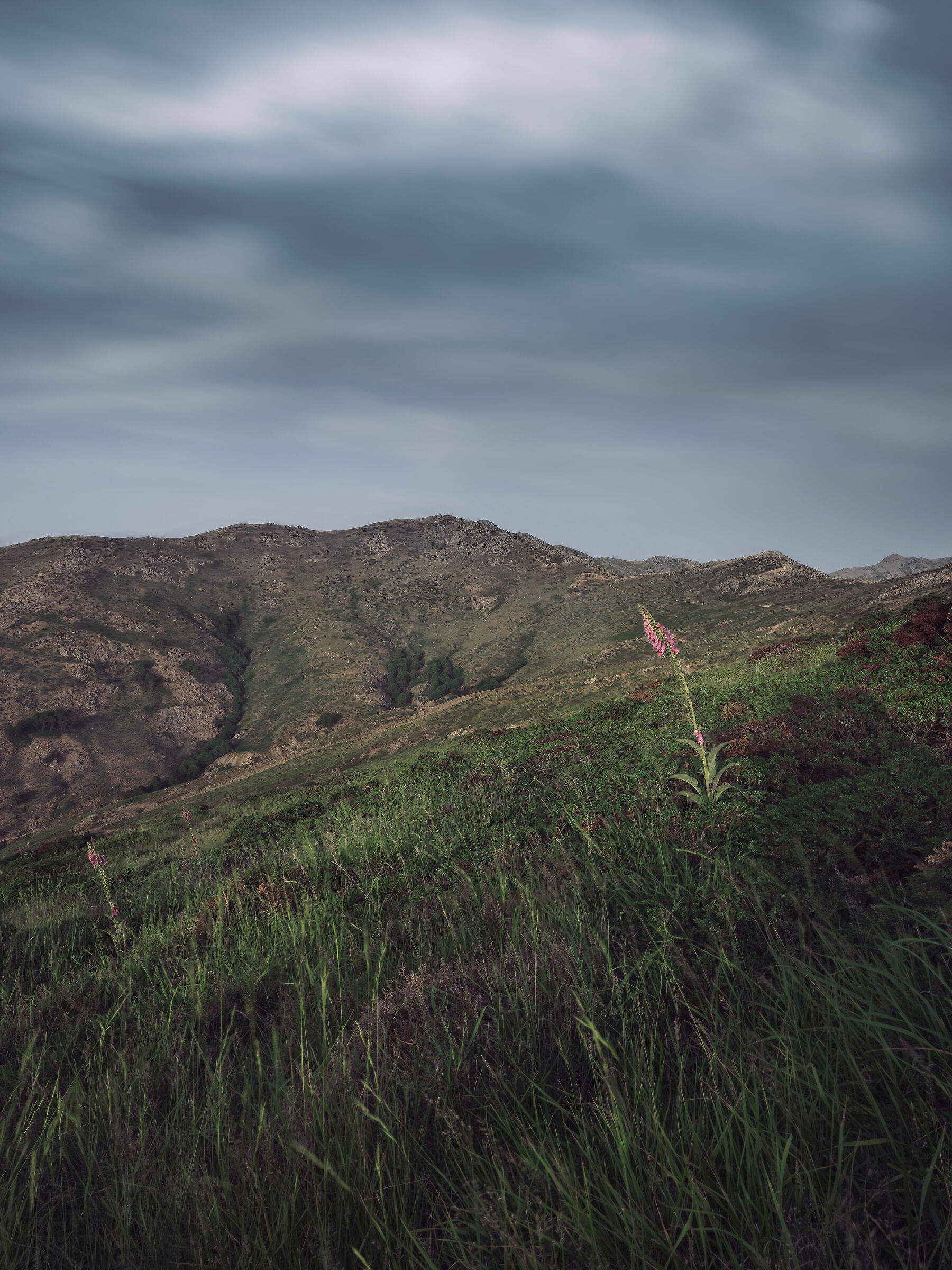 Gennargentu National Park