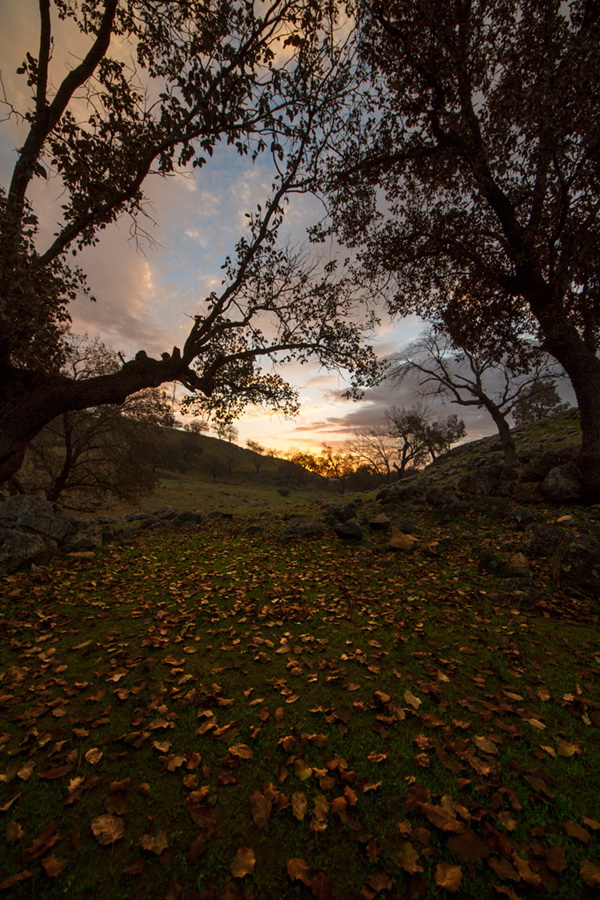 strada alla luce del sole