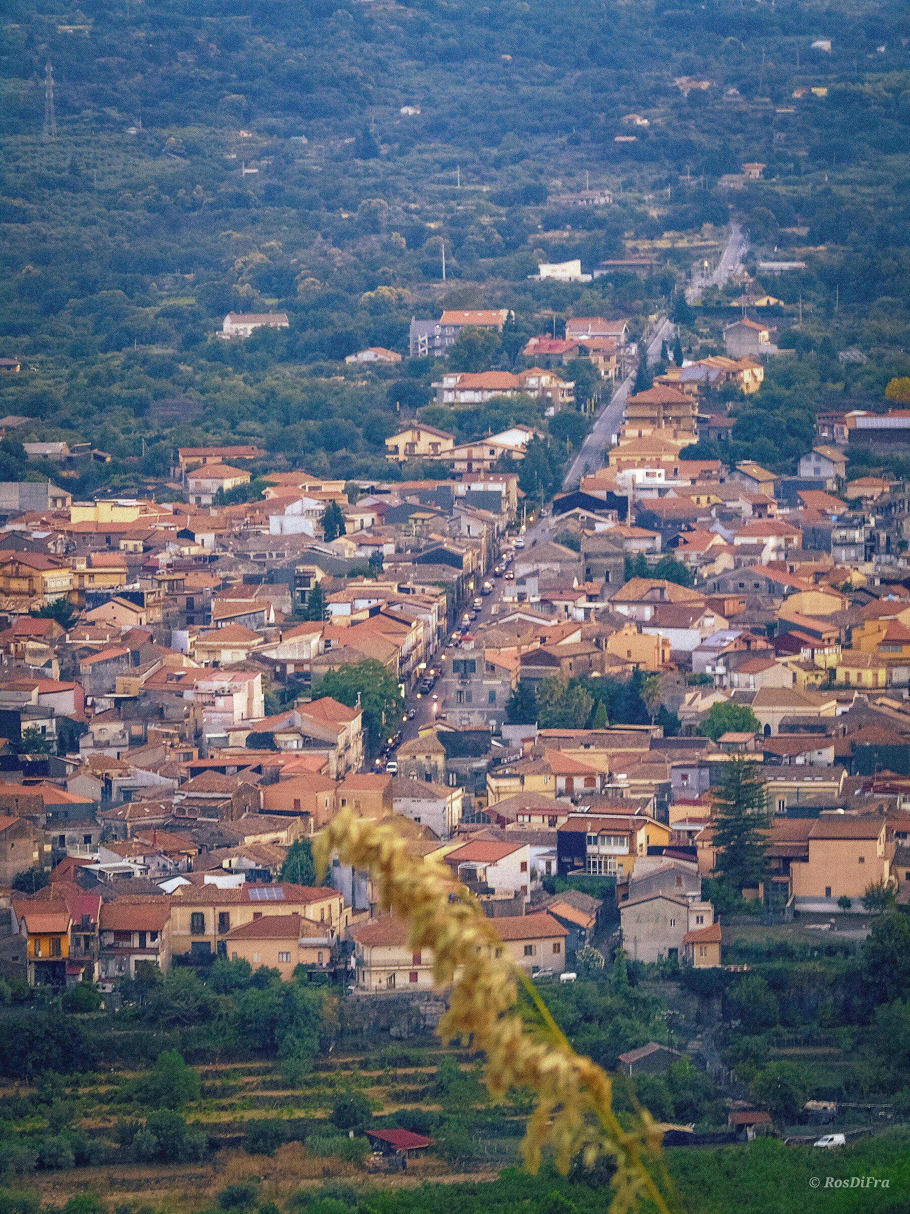 Particolare di Linguaglossa