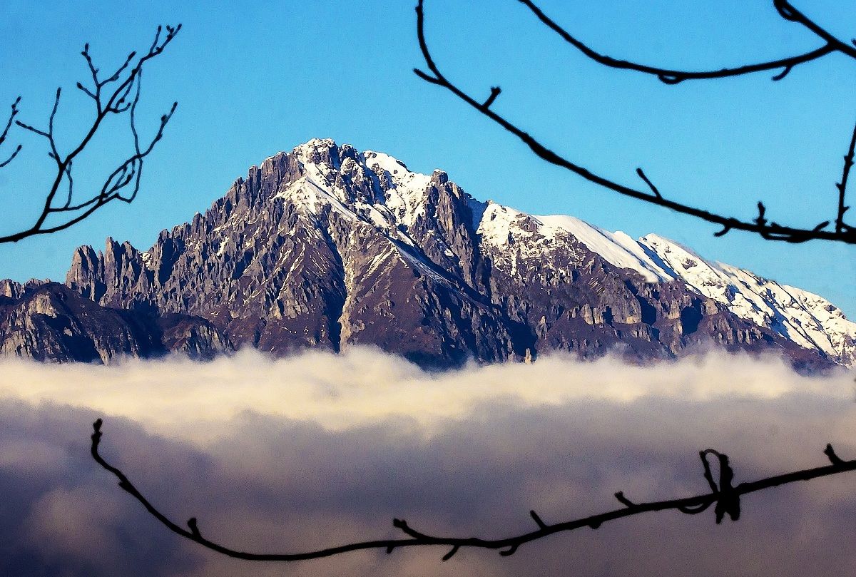 Grignetta (without branch on the mountain)