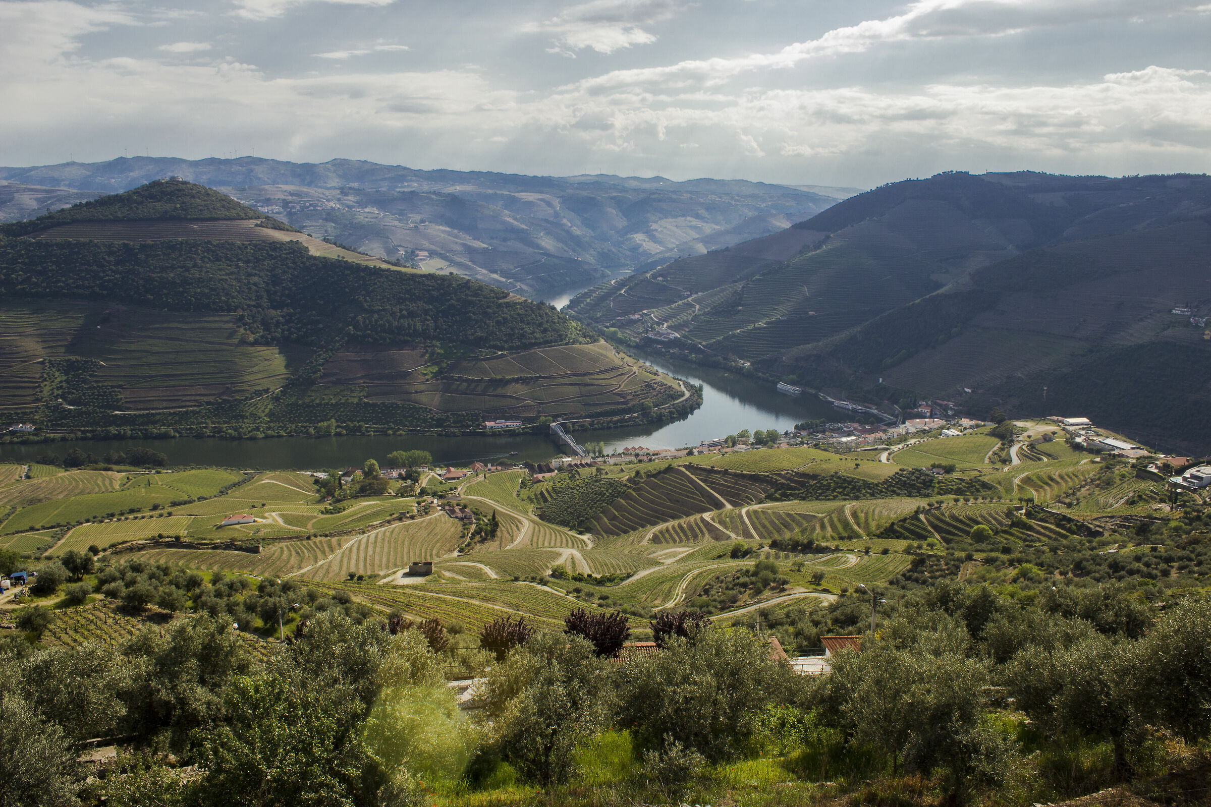 Douro Valley