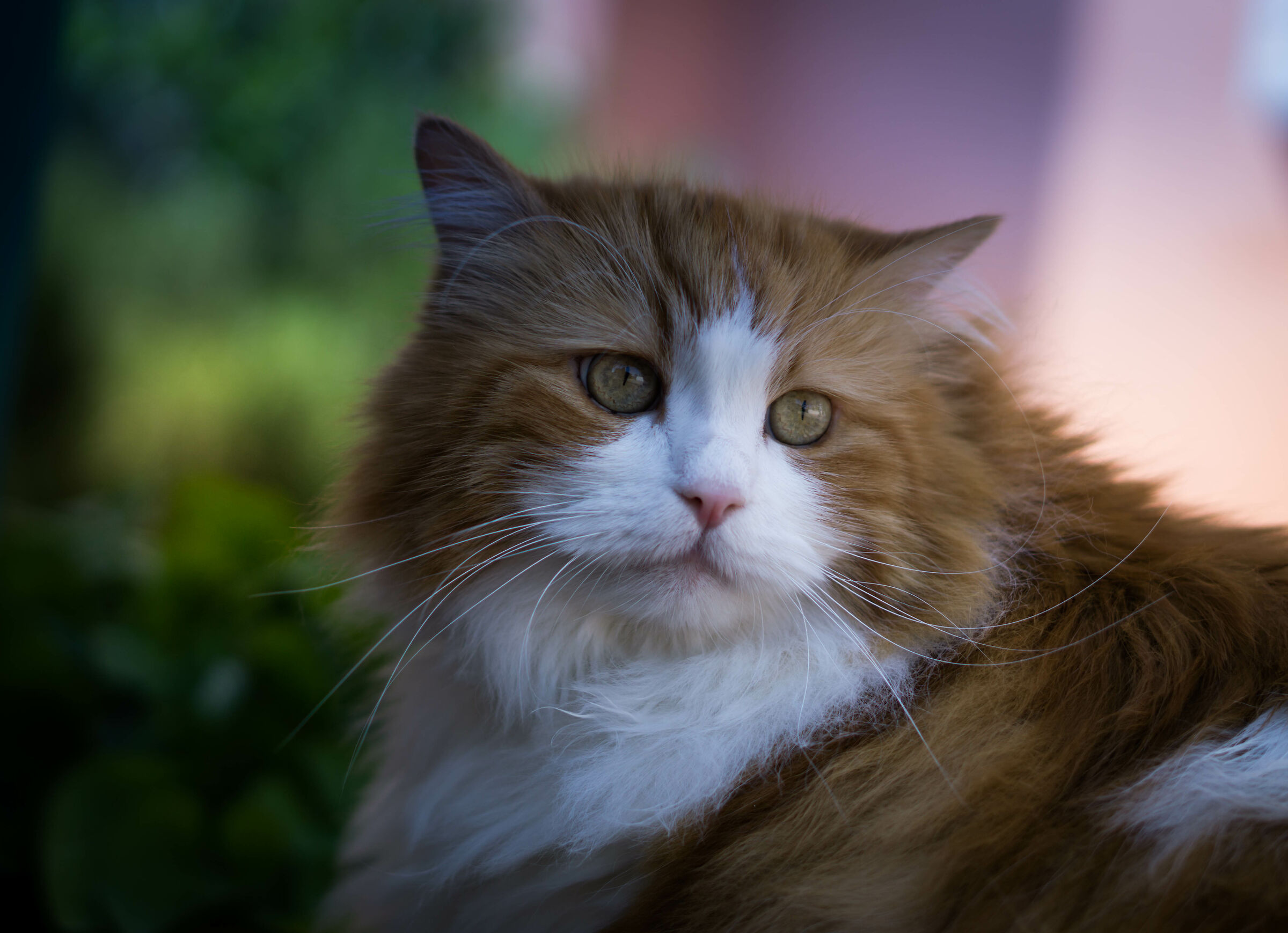 Finalmente un pò di aria fresca!