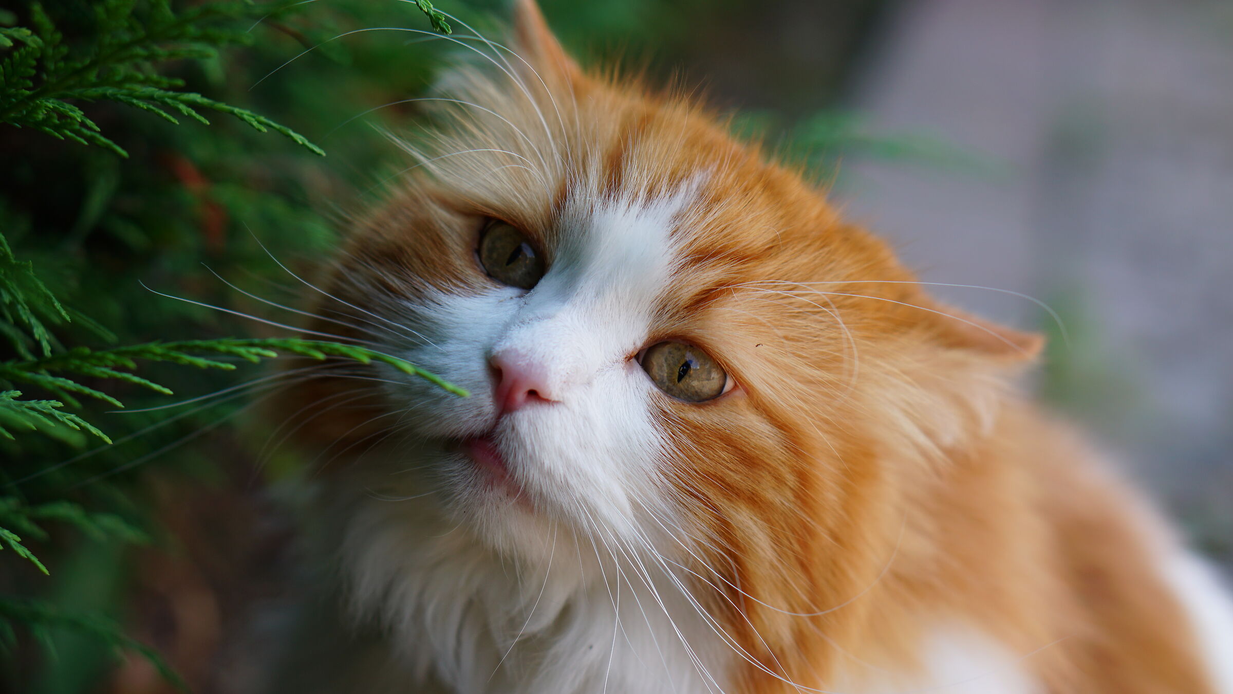 Finally some fresh air!