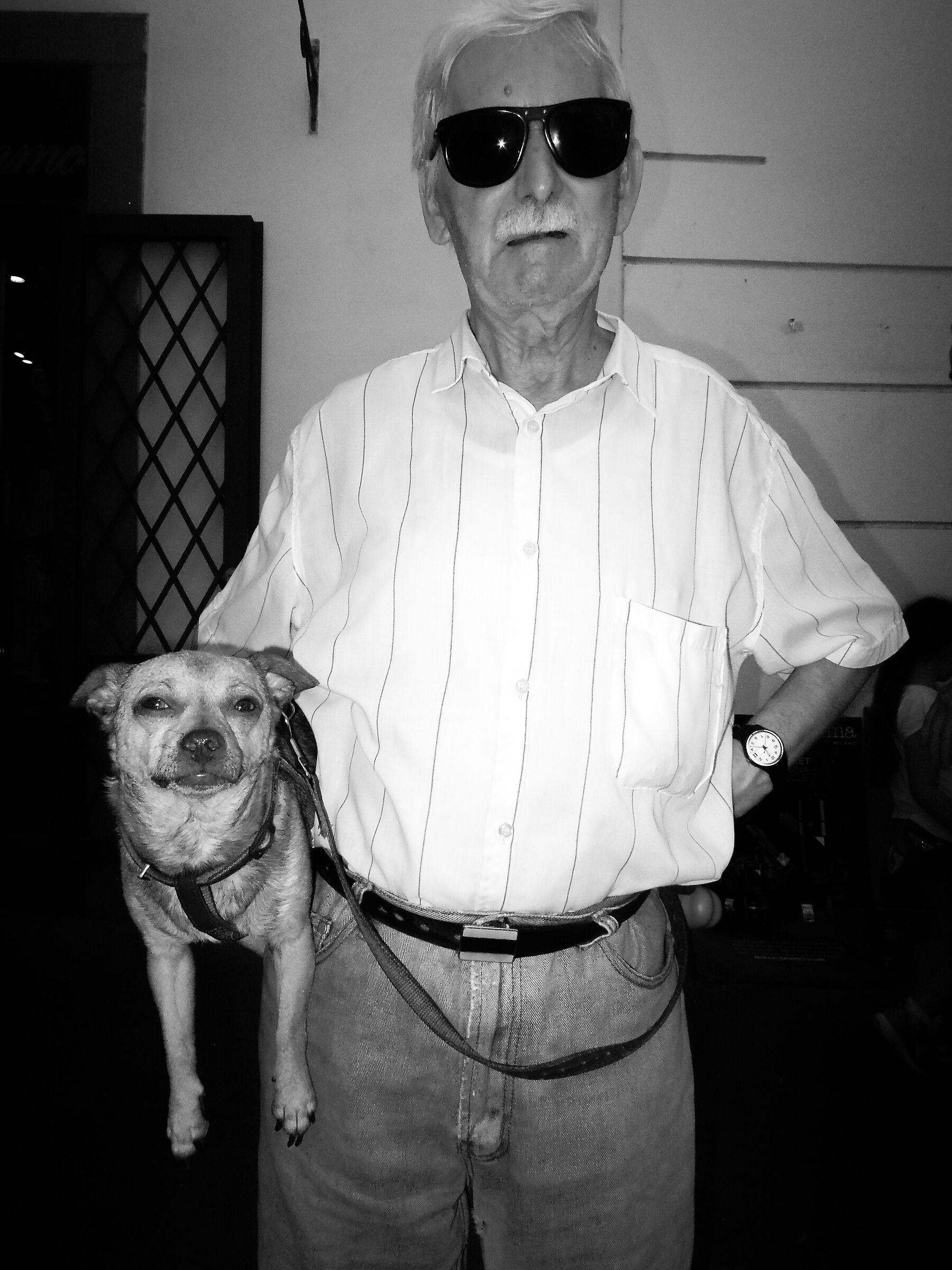 A spasso col miglior Amico