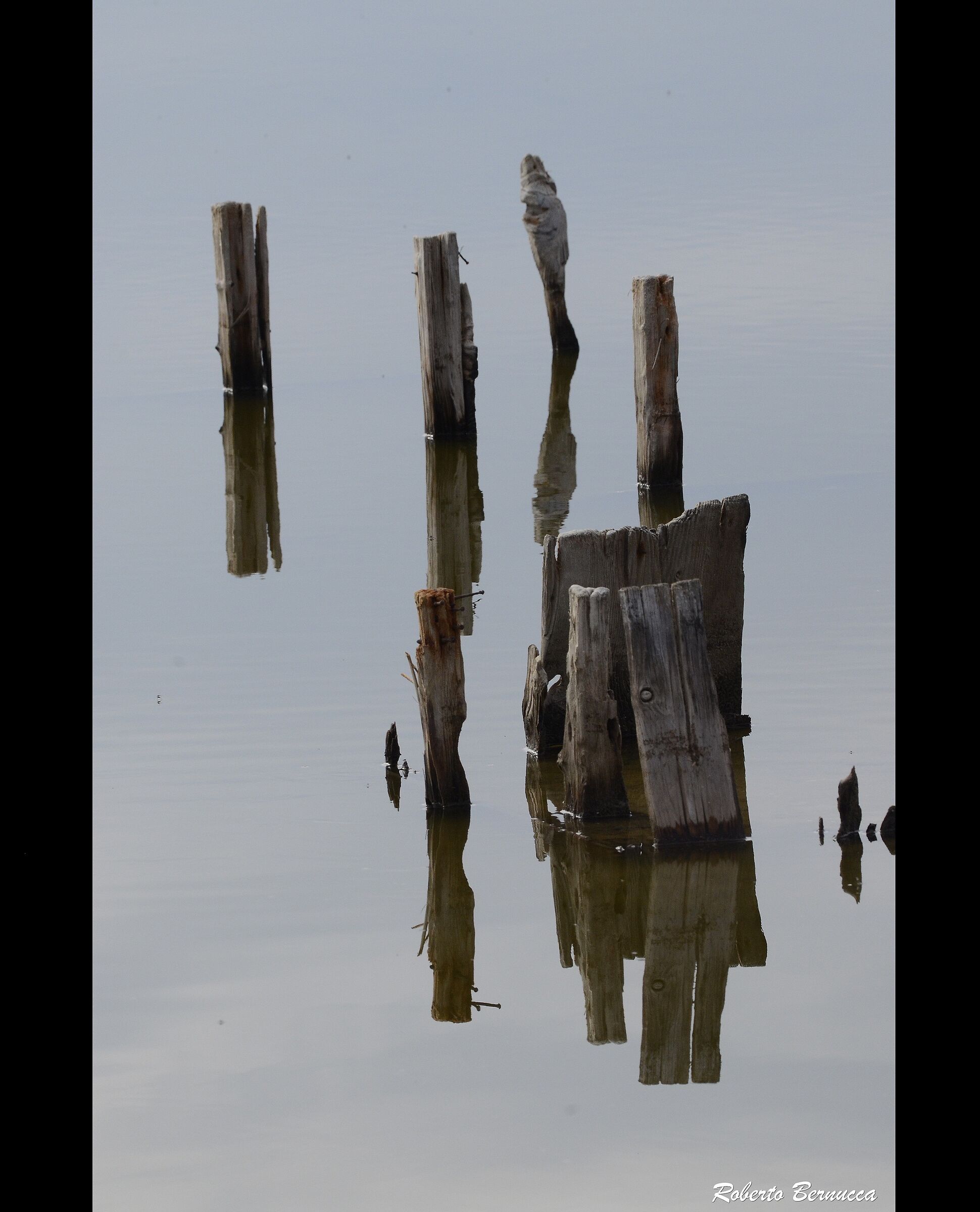 riflessi