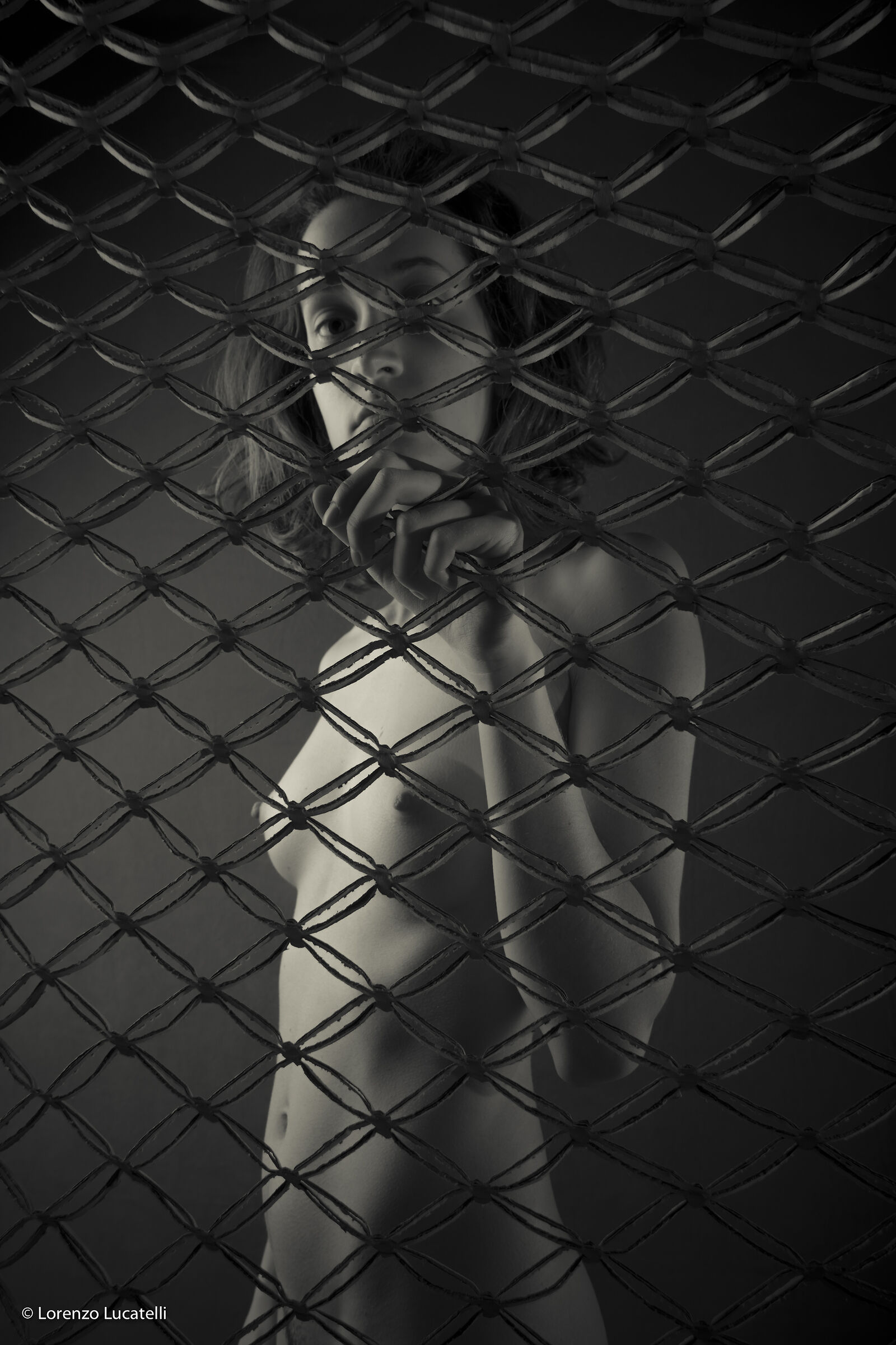 looking for escape 6