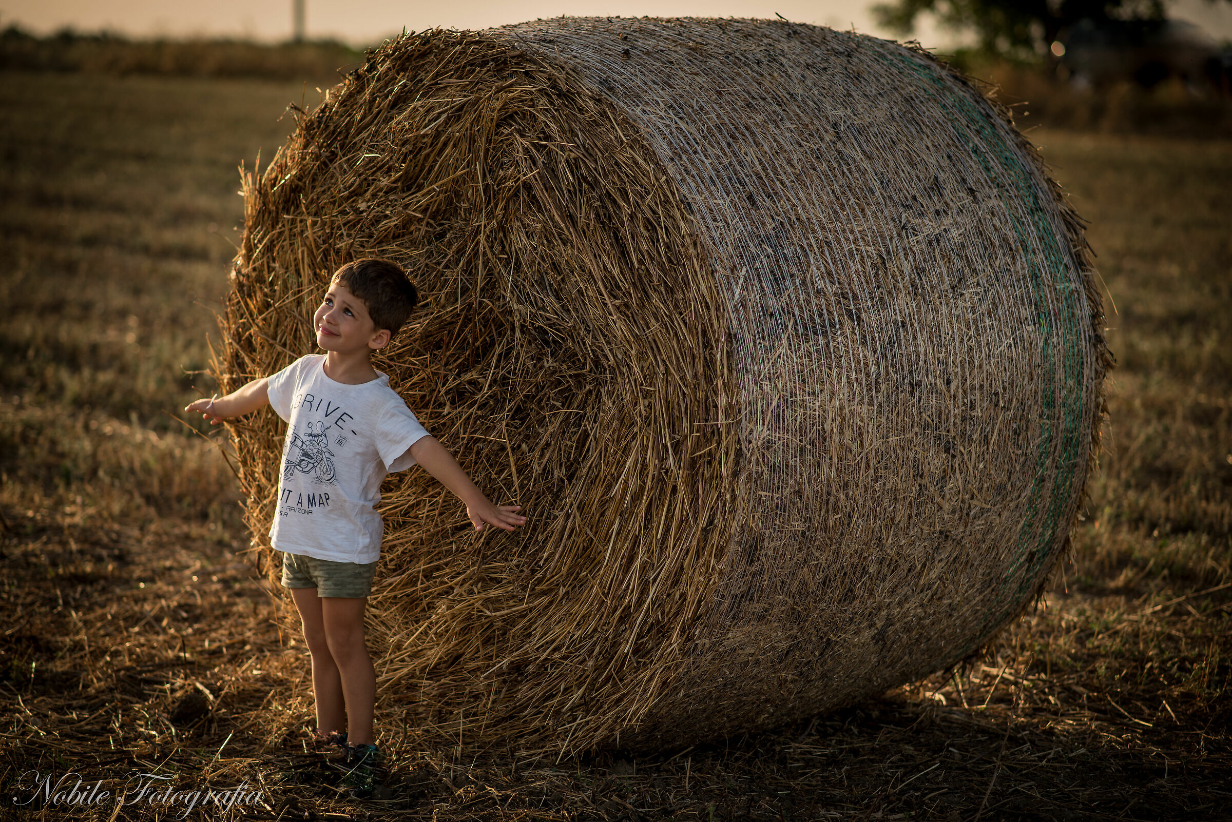 Gioele e la mietitura