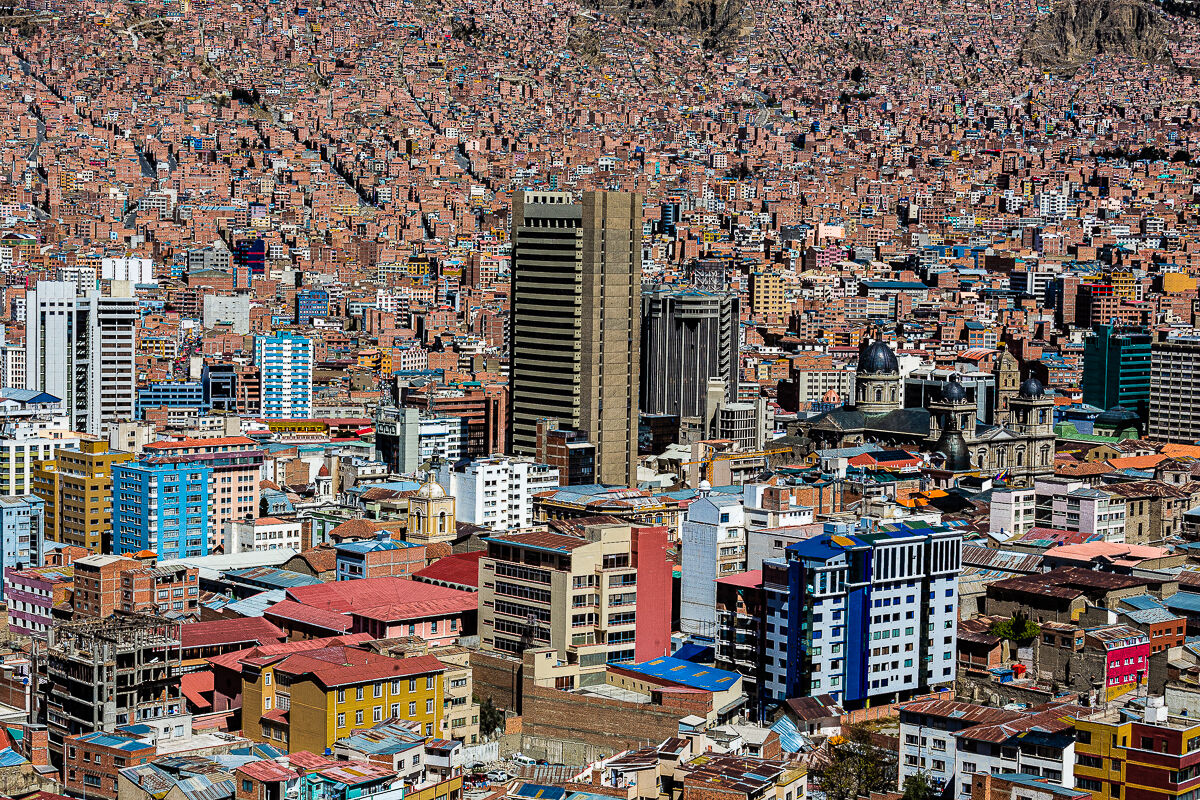 Sure to be different from ants and termites