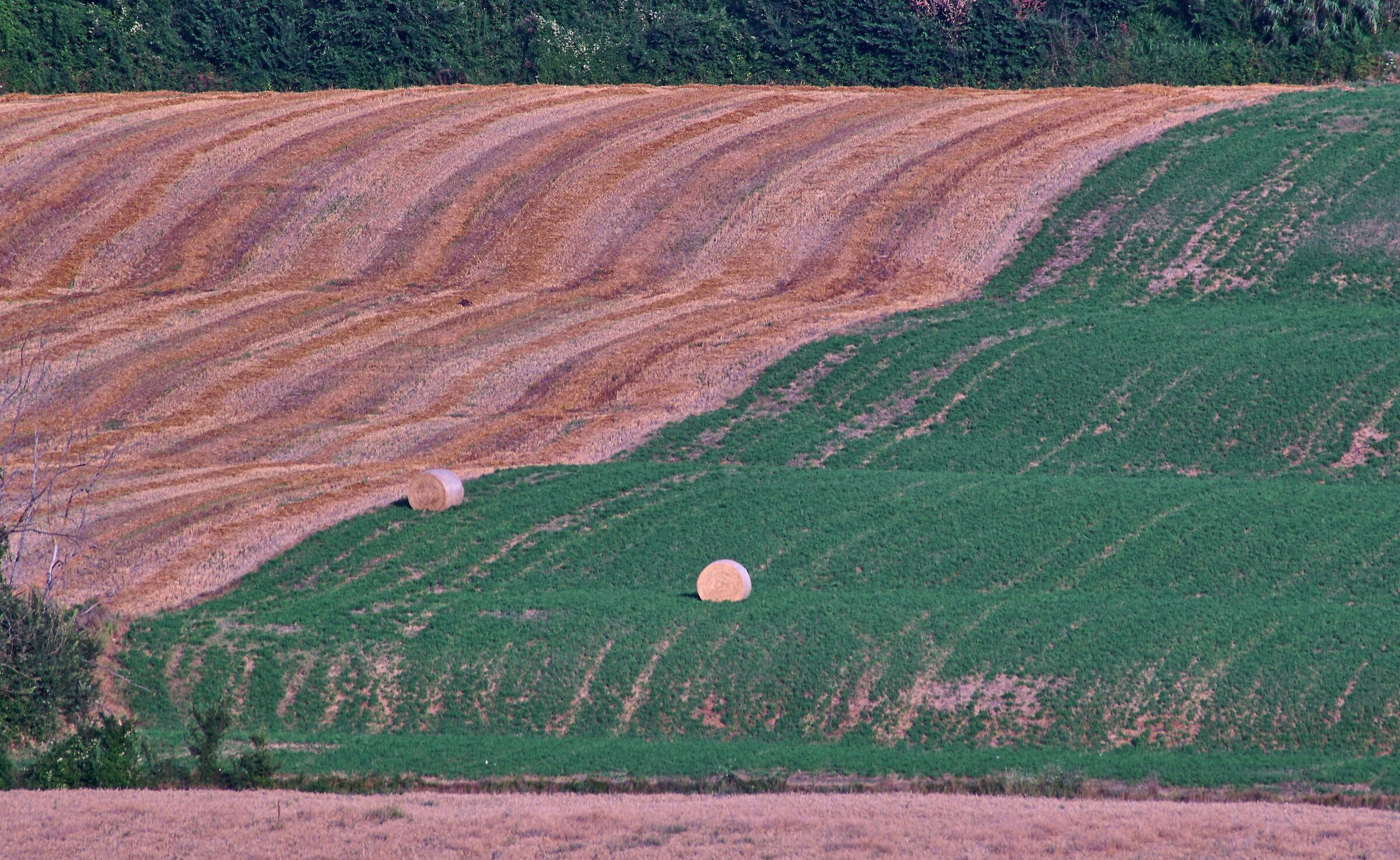 I 2 volti dell'estate