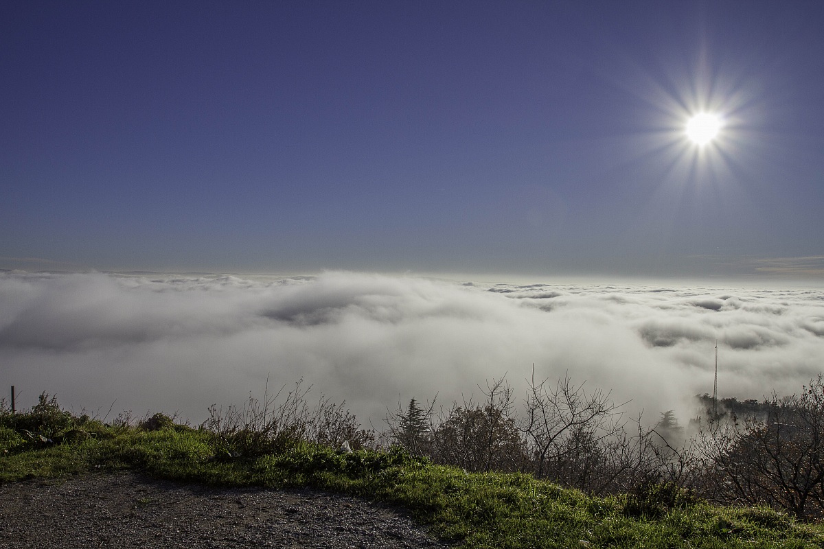 nebbia sopra Trieste 3