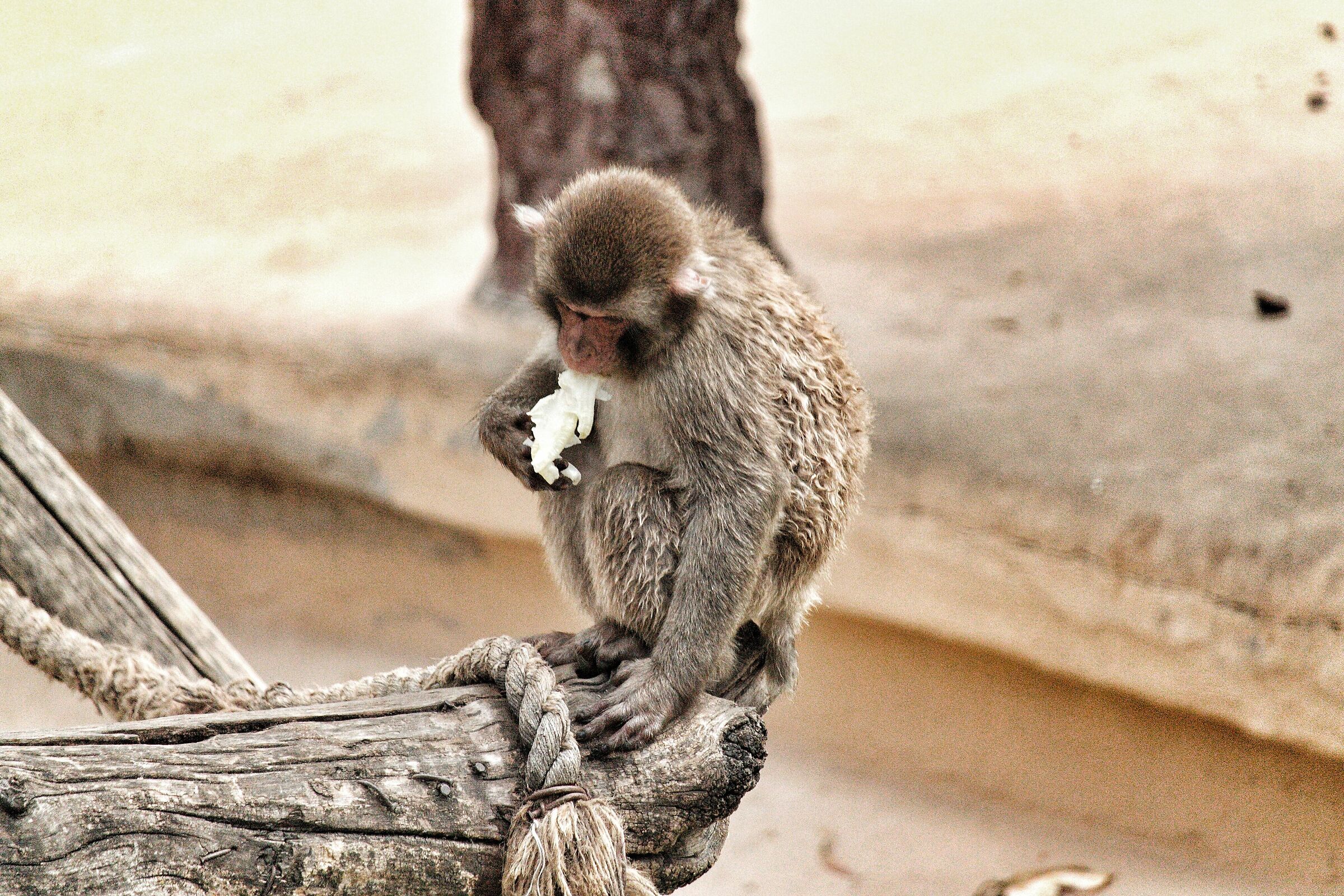 Untitled Photo