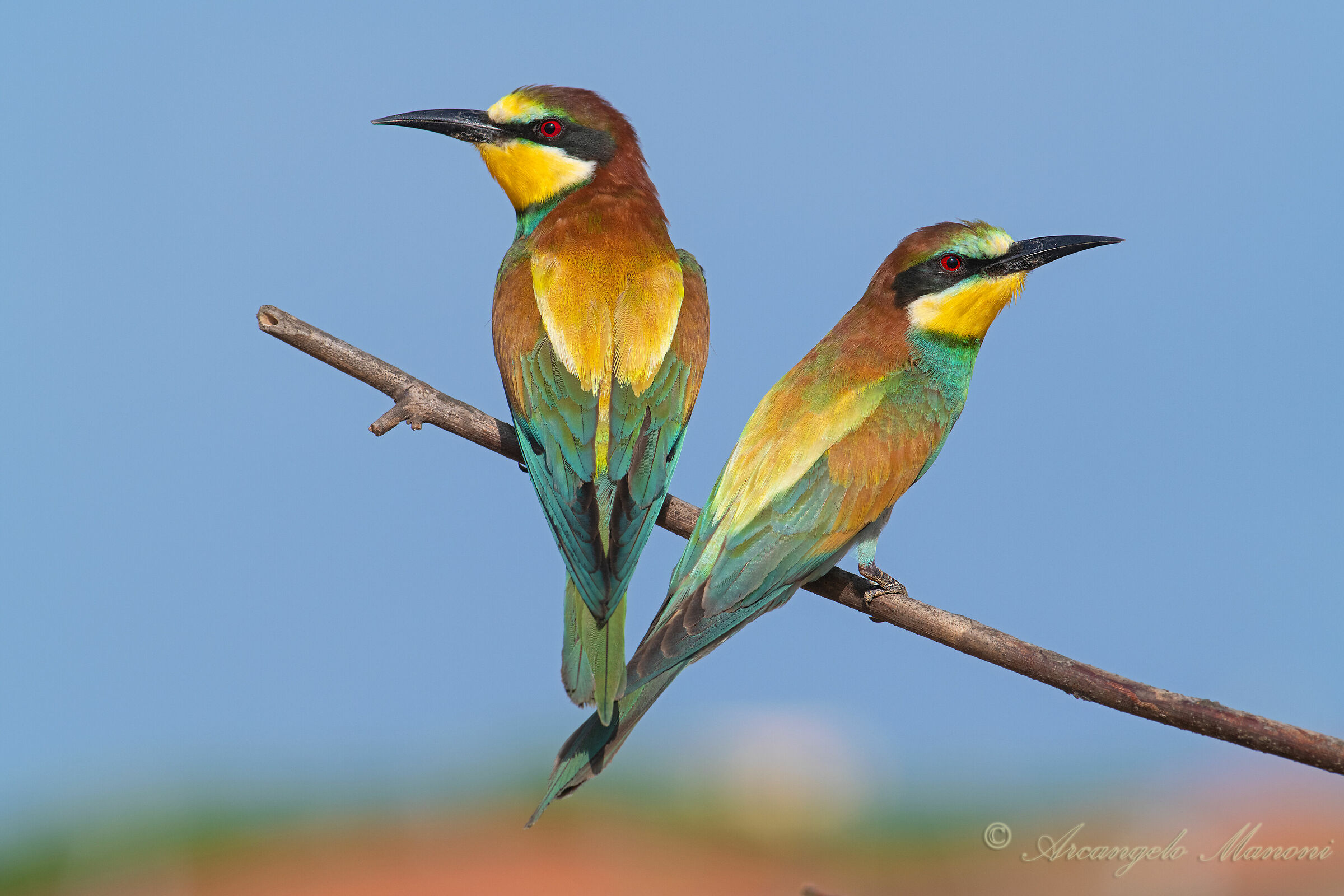 Contrapposti nell'immagine ma non nella vita