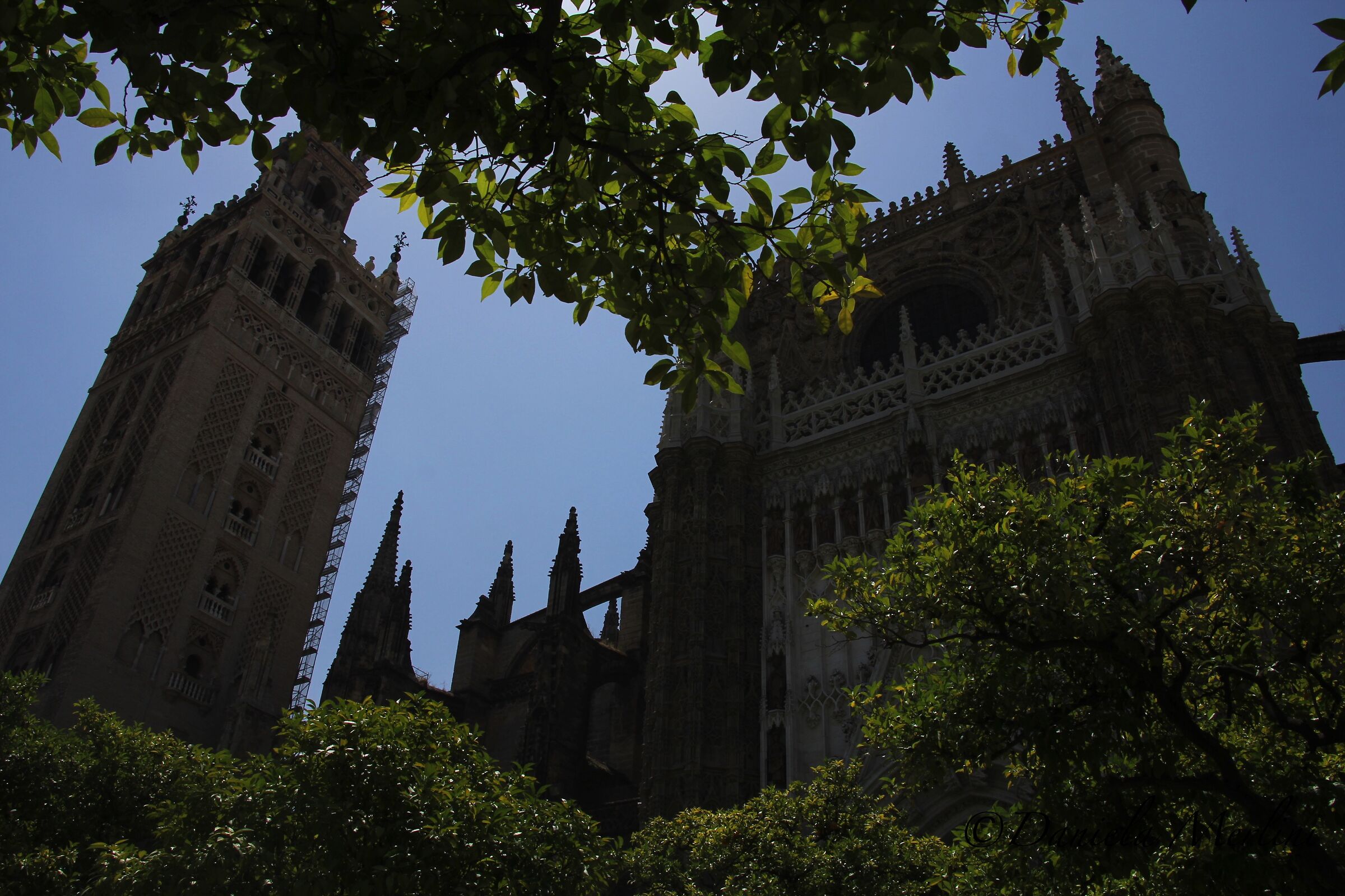 Seville Cathedral