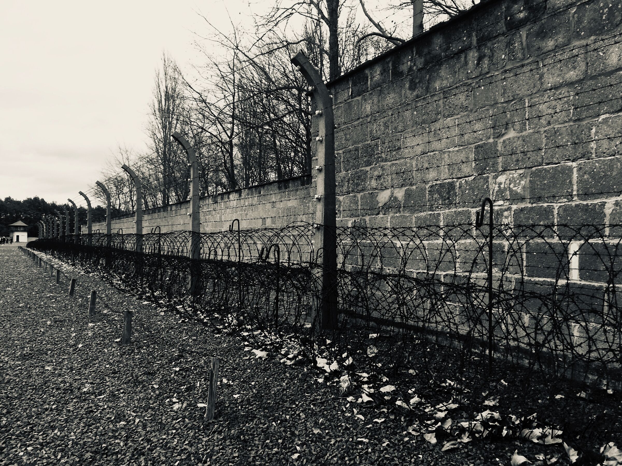 Sachsenhausen concentration camp