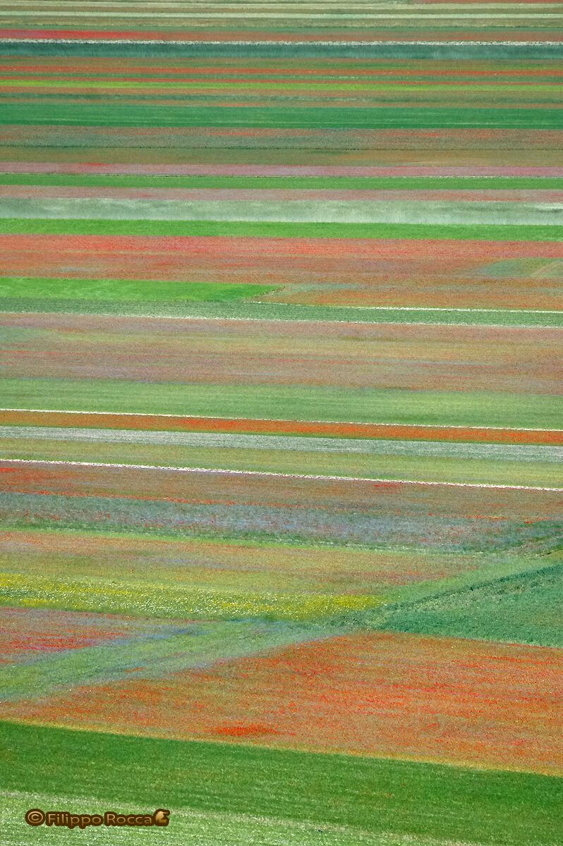 Incanto di colori 04