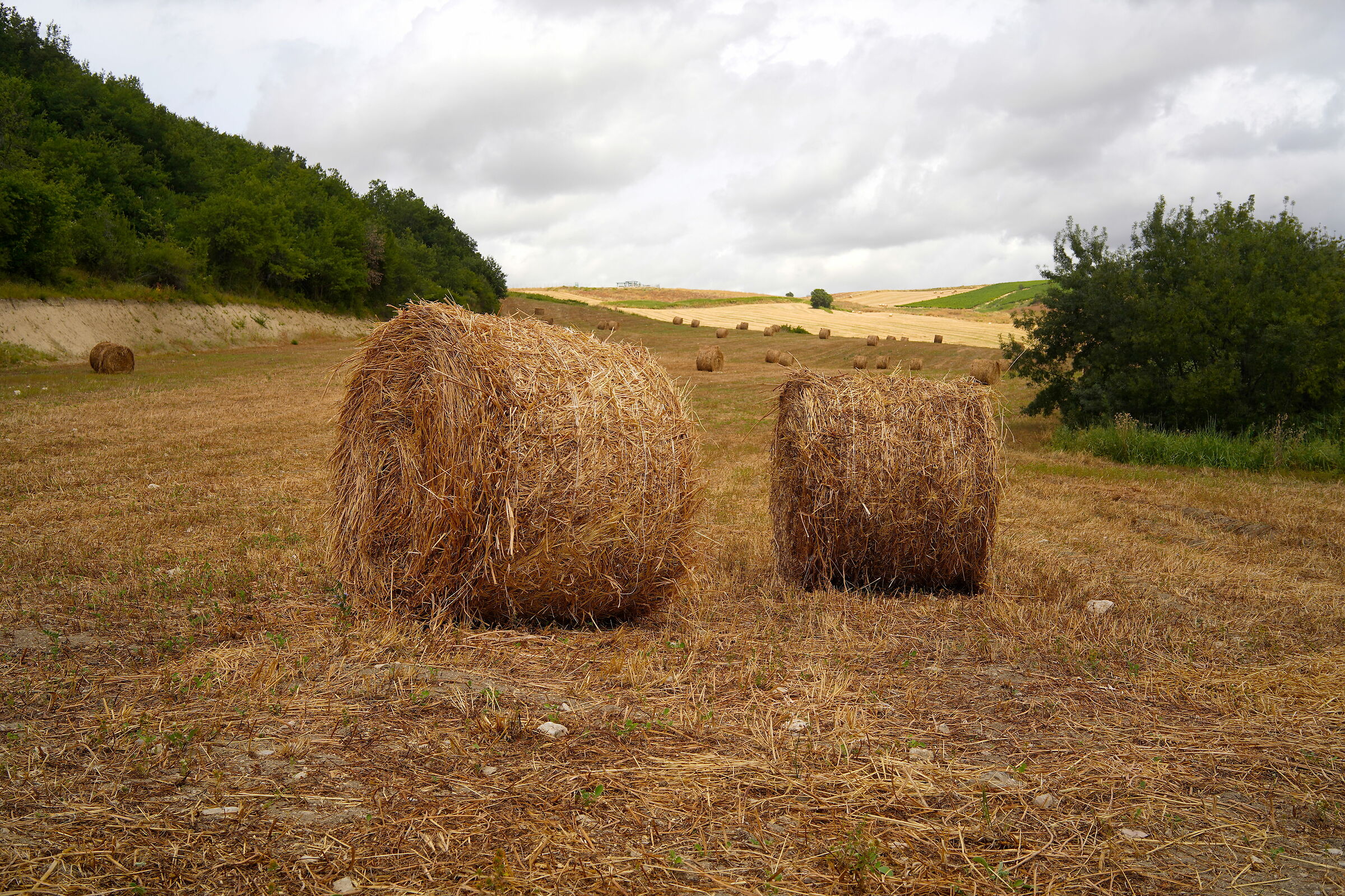 Il lavoro dell'uomo.