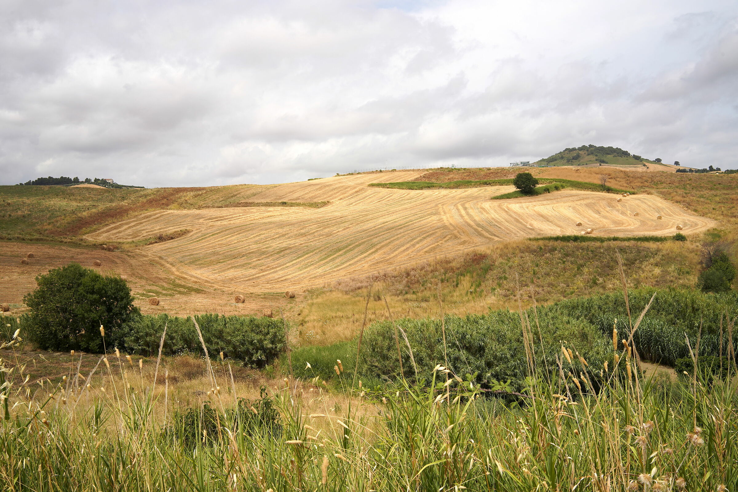 Fields just threshered.