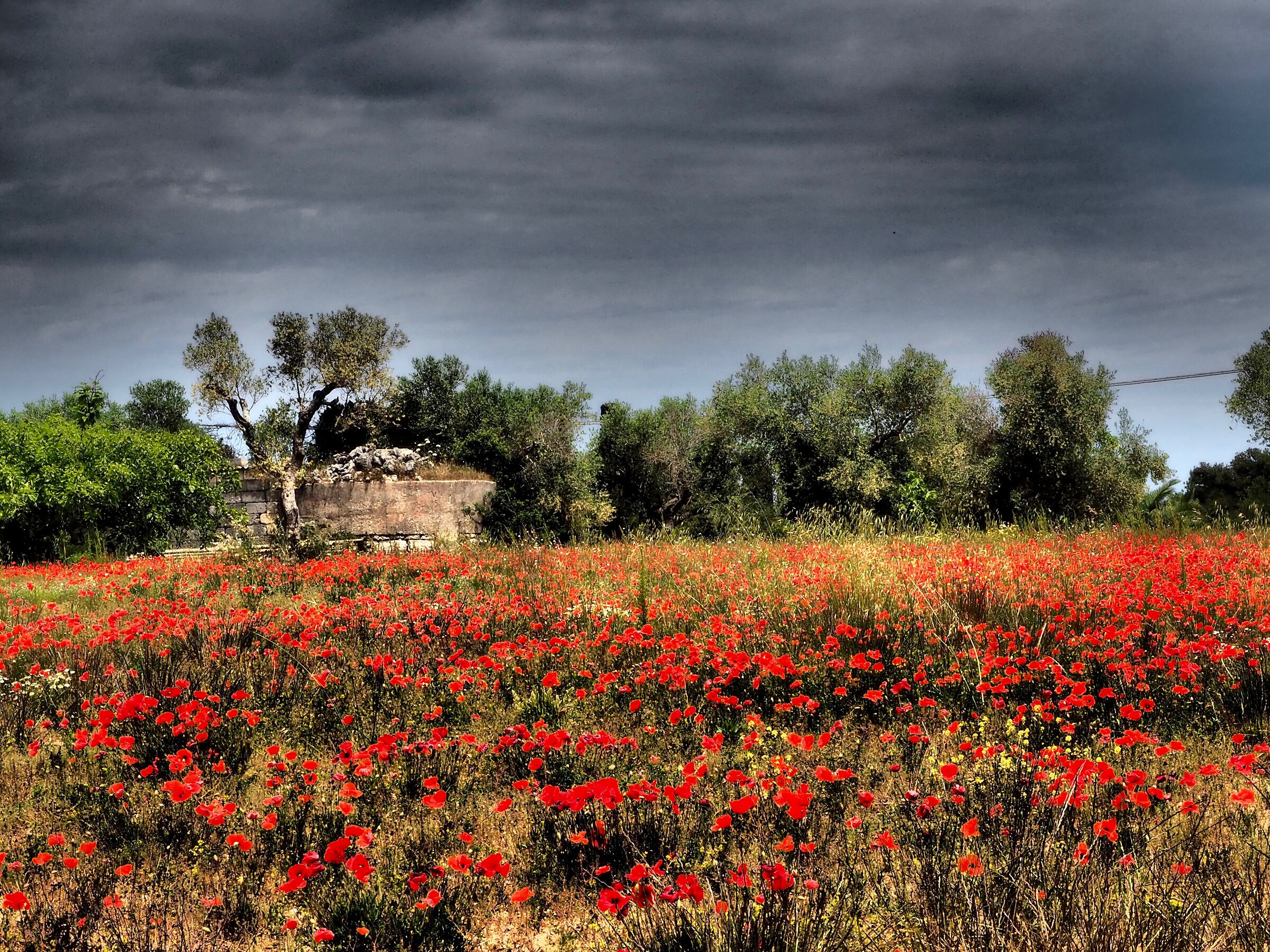 sinfonia rossa ad Otranto