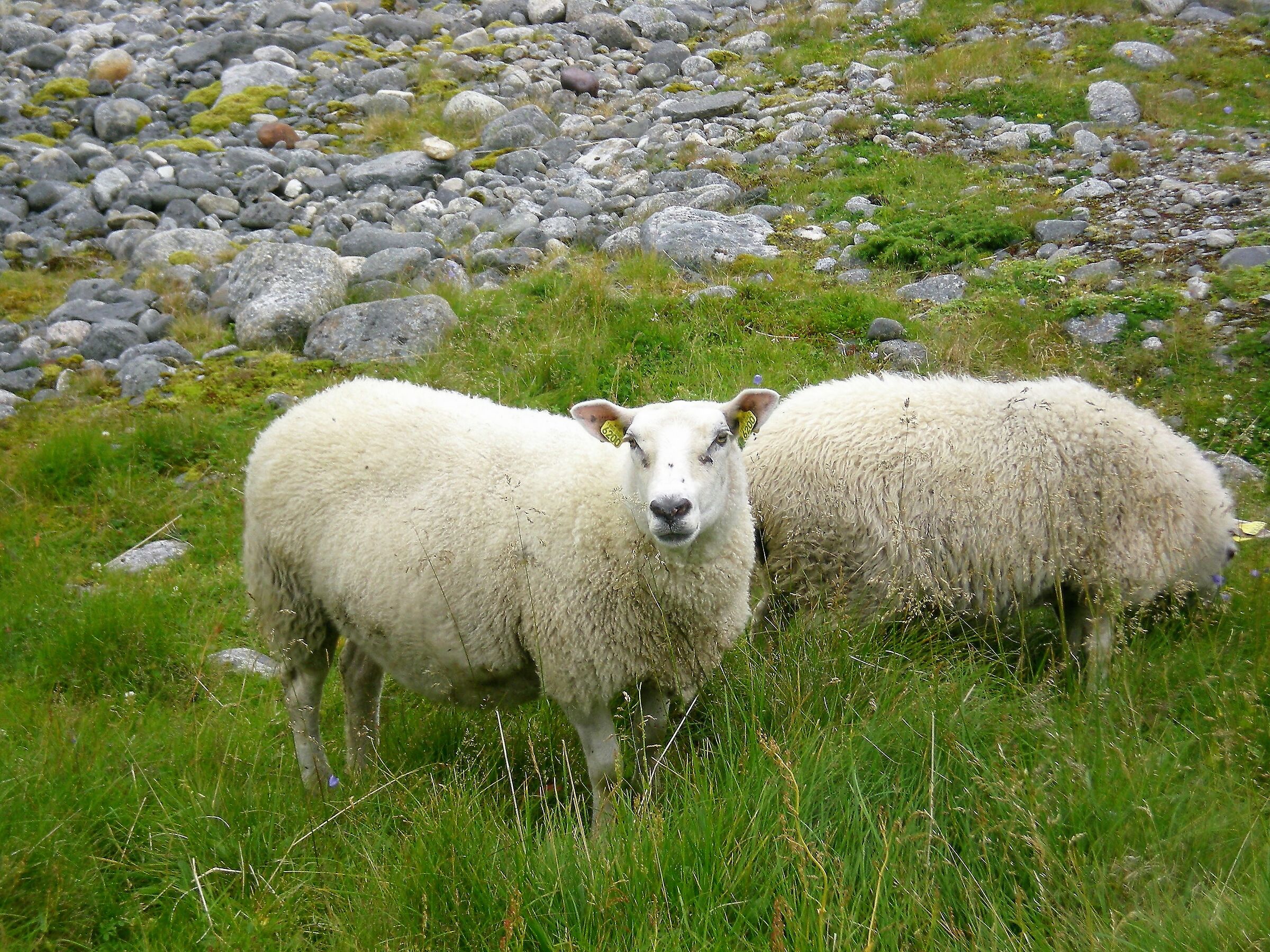 Spuntino sulla spiaggia