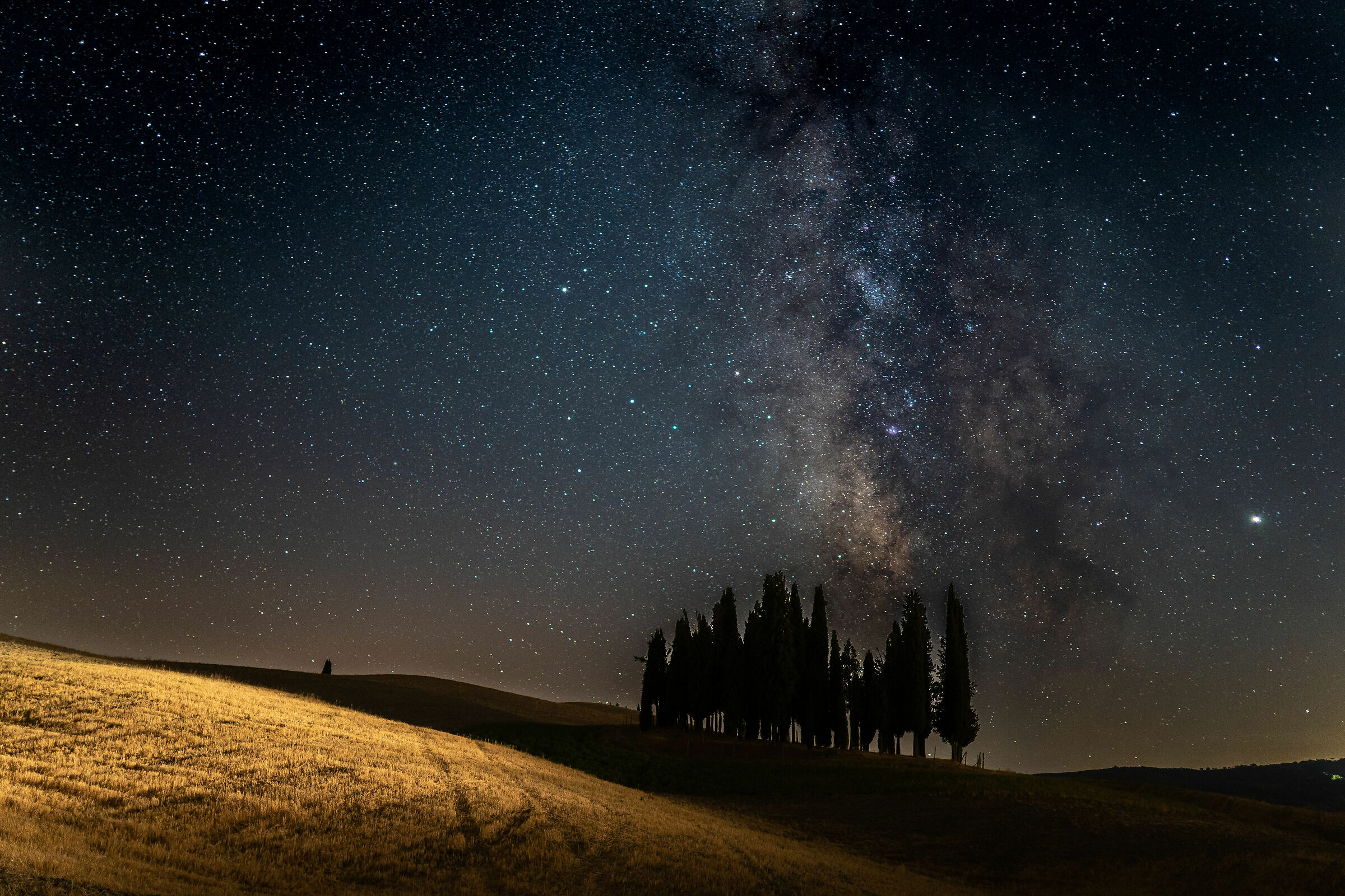 Milky Way al boschetto