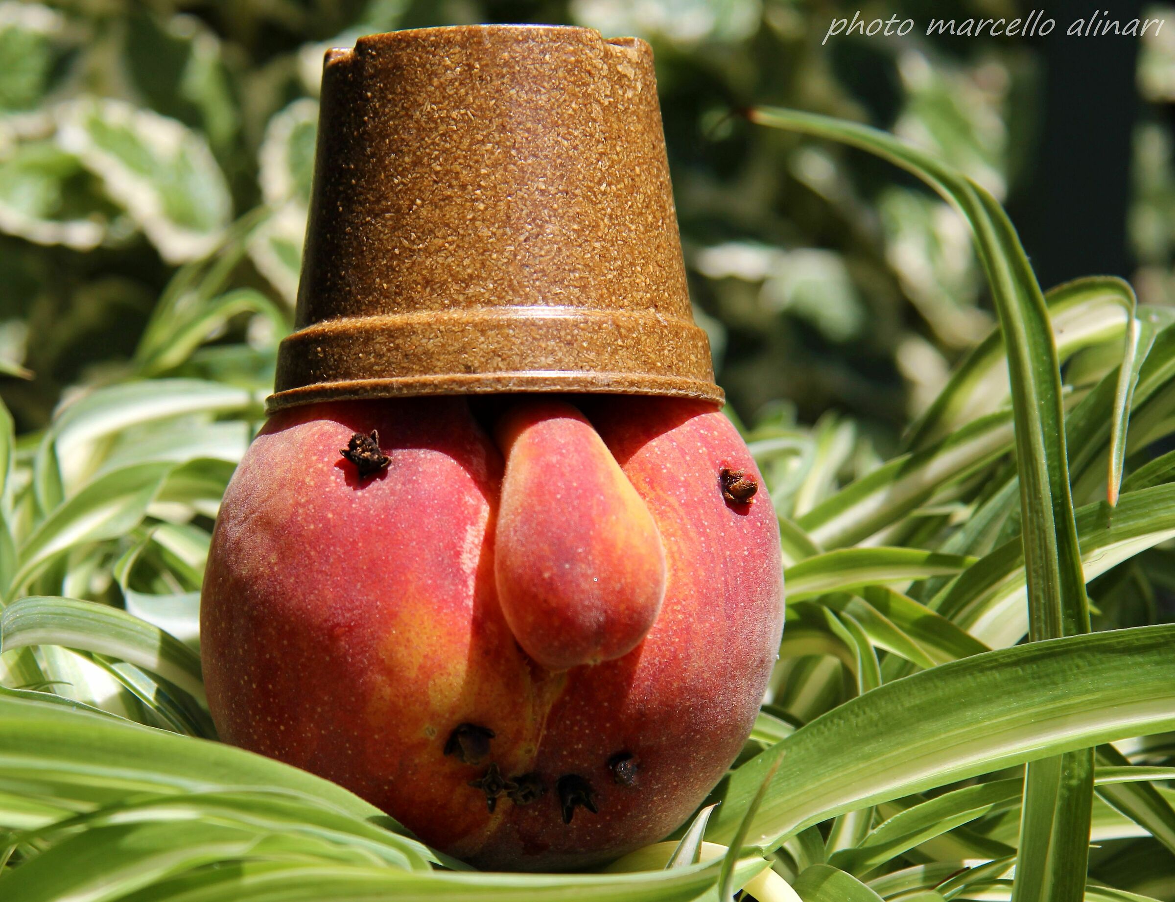 come prepararsi per uscire dal pescheto