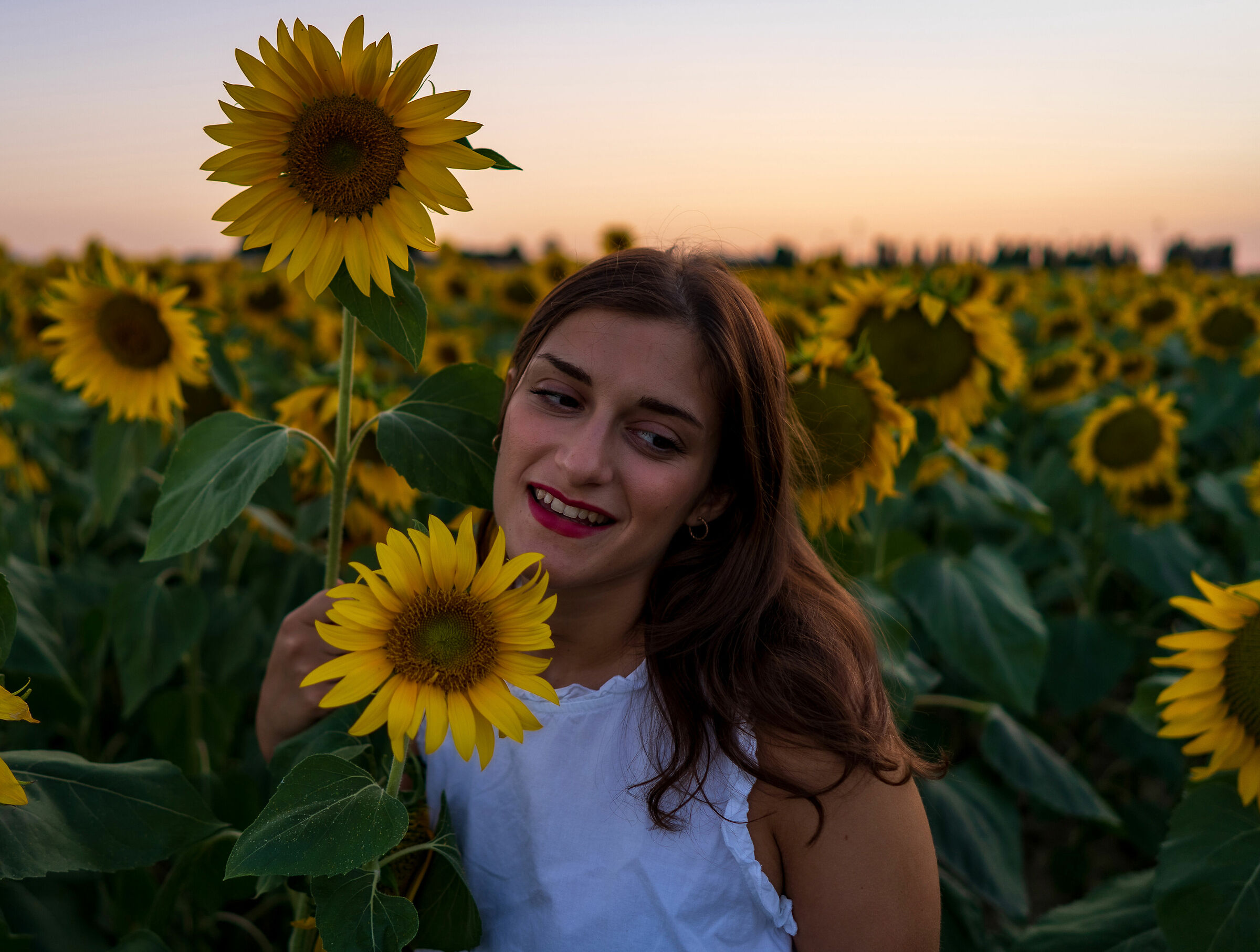 Another summer afternoon, a year later