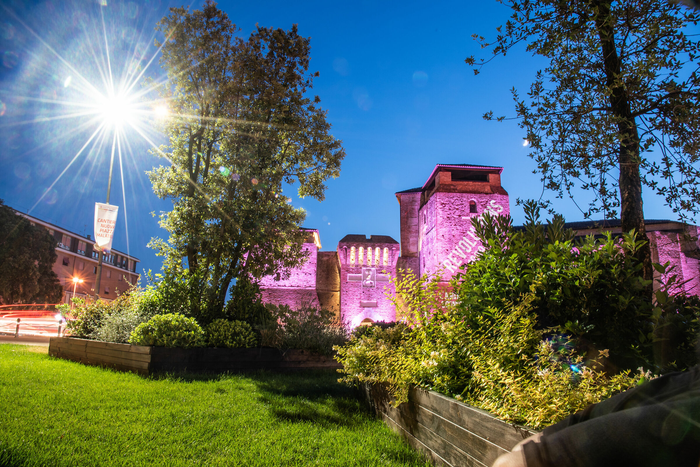 Pink Rimini - Sismondo beyond the jungle.