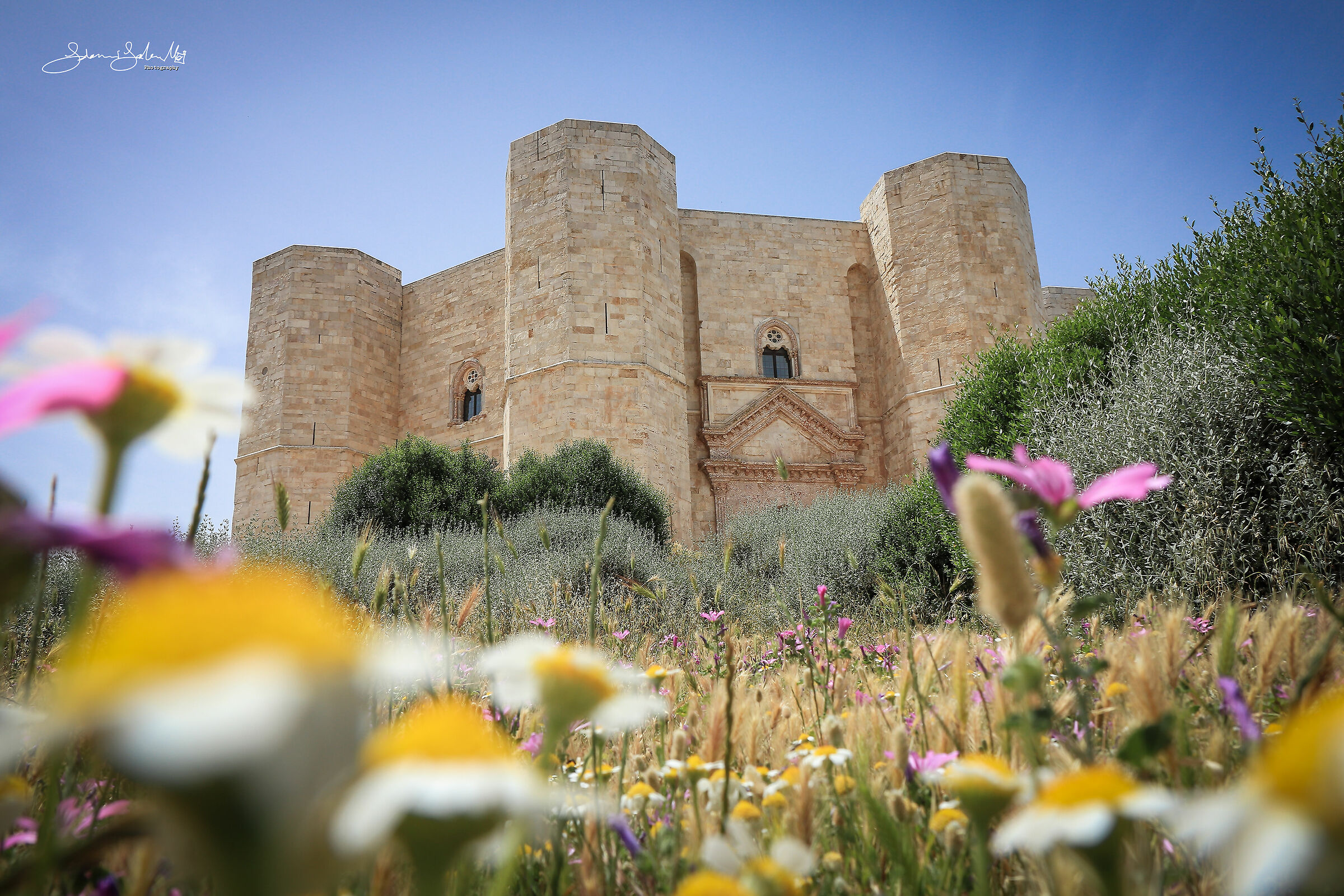 Castel del Monte (xiii Sec.)