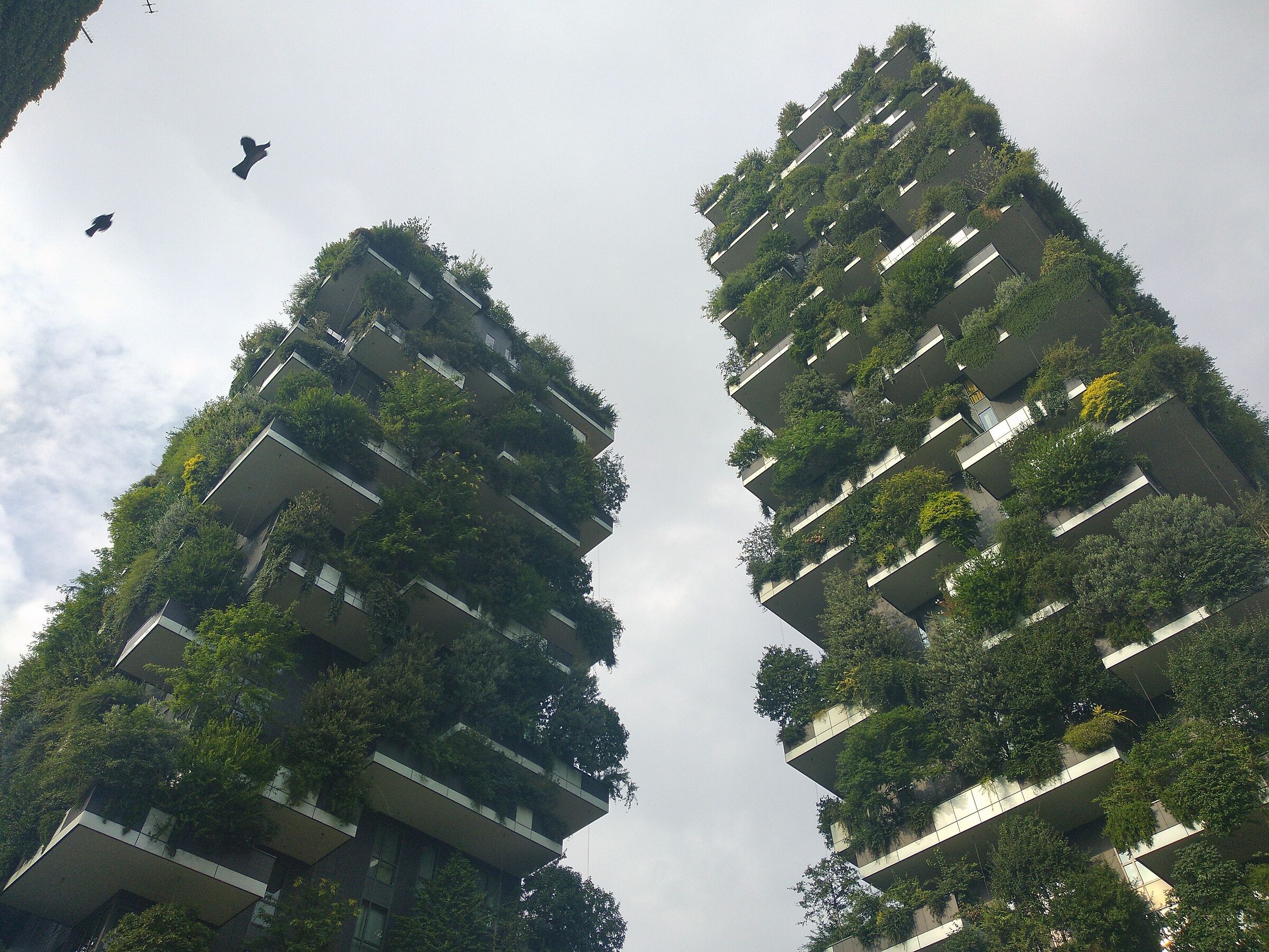 The vertical garden of Milan