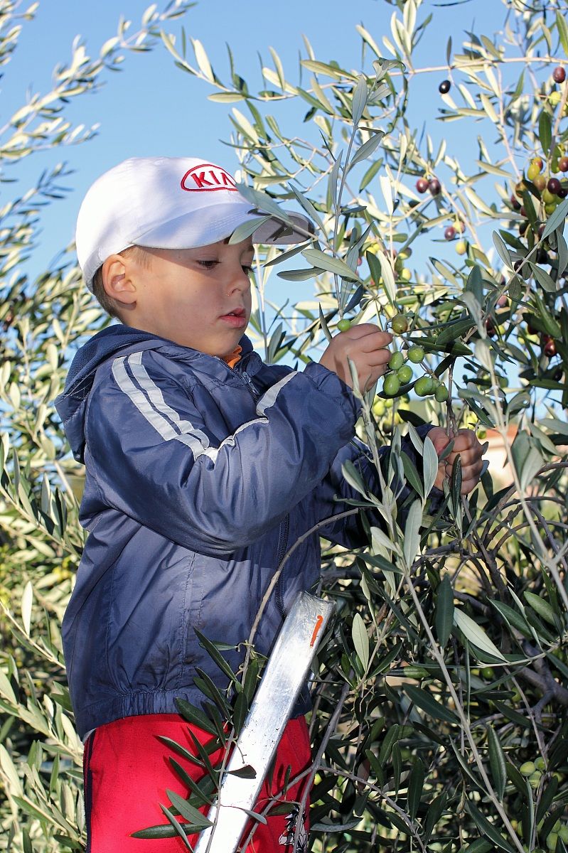 Braccia rubate all'agricoltura