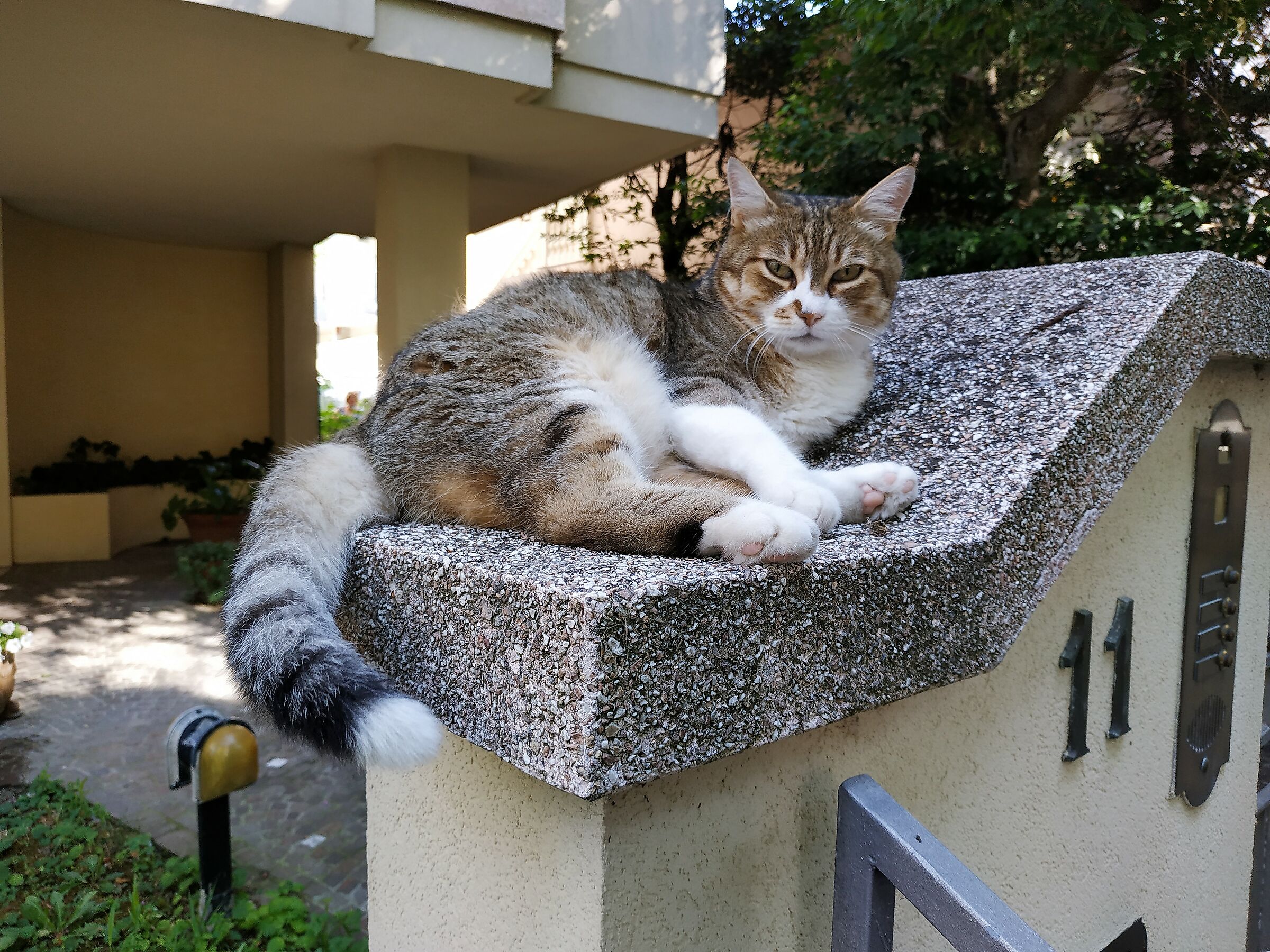 Il Padrone di ..Casa.